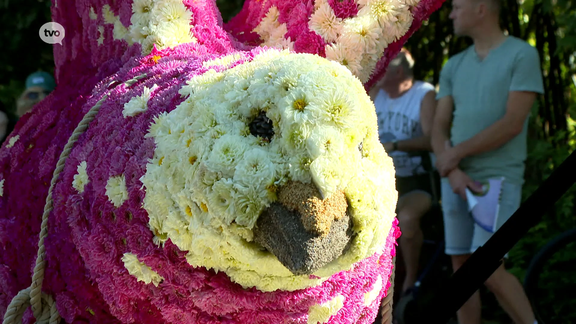 Nostalgie is thema van Bloemencorso Sint-Gillis-bij-Dendermonde: "Mijn mama heeft veel verteld over de postduif"