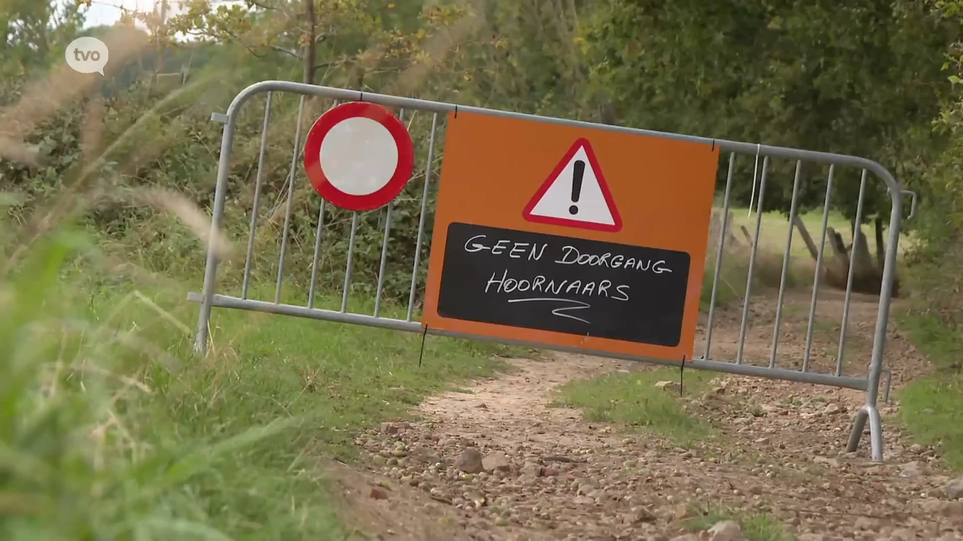 Gemeente Sint-Lievens-Houtem sluit trage weg vanwege gevaarlijk hoornaarsnest