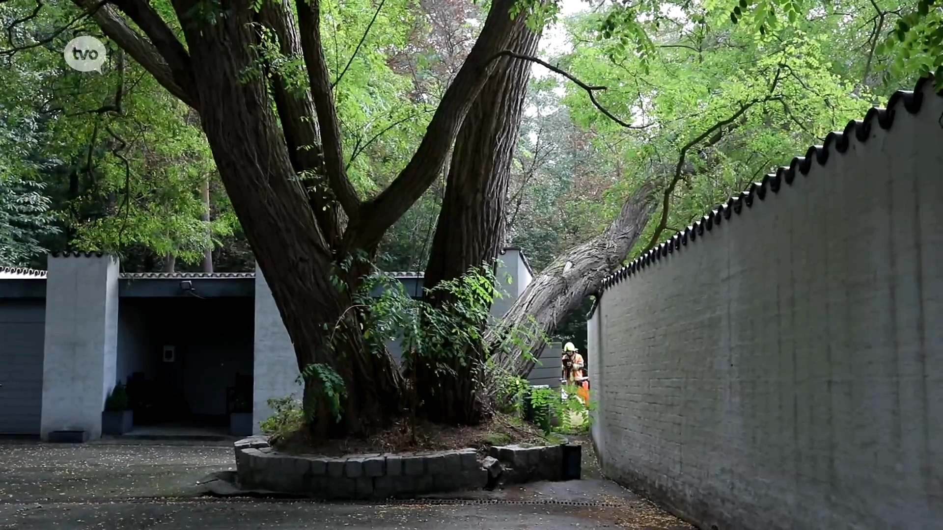 Hoofdafbeelding voor artikel Abdij Roosenberg deels ontruimd…