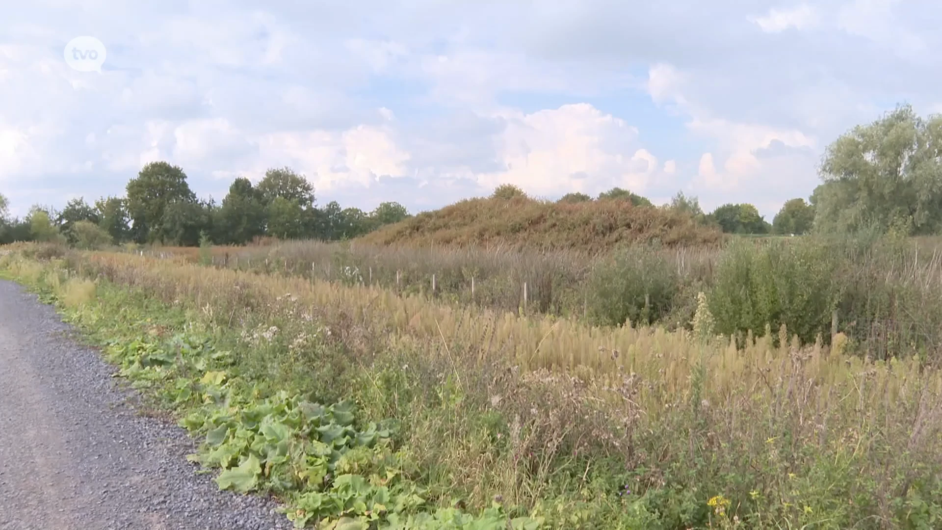 Hoofdafbeelding voor artikel Verkeershinder verwacht in…