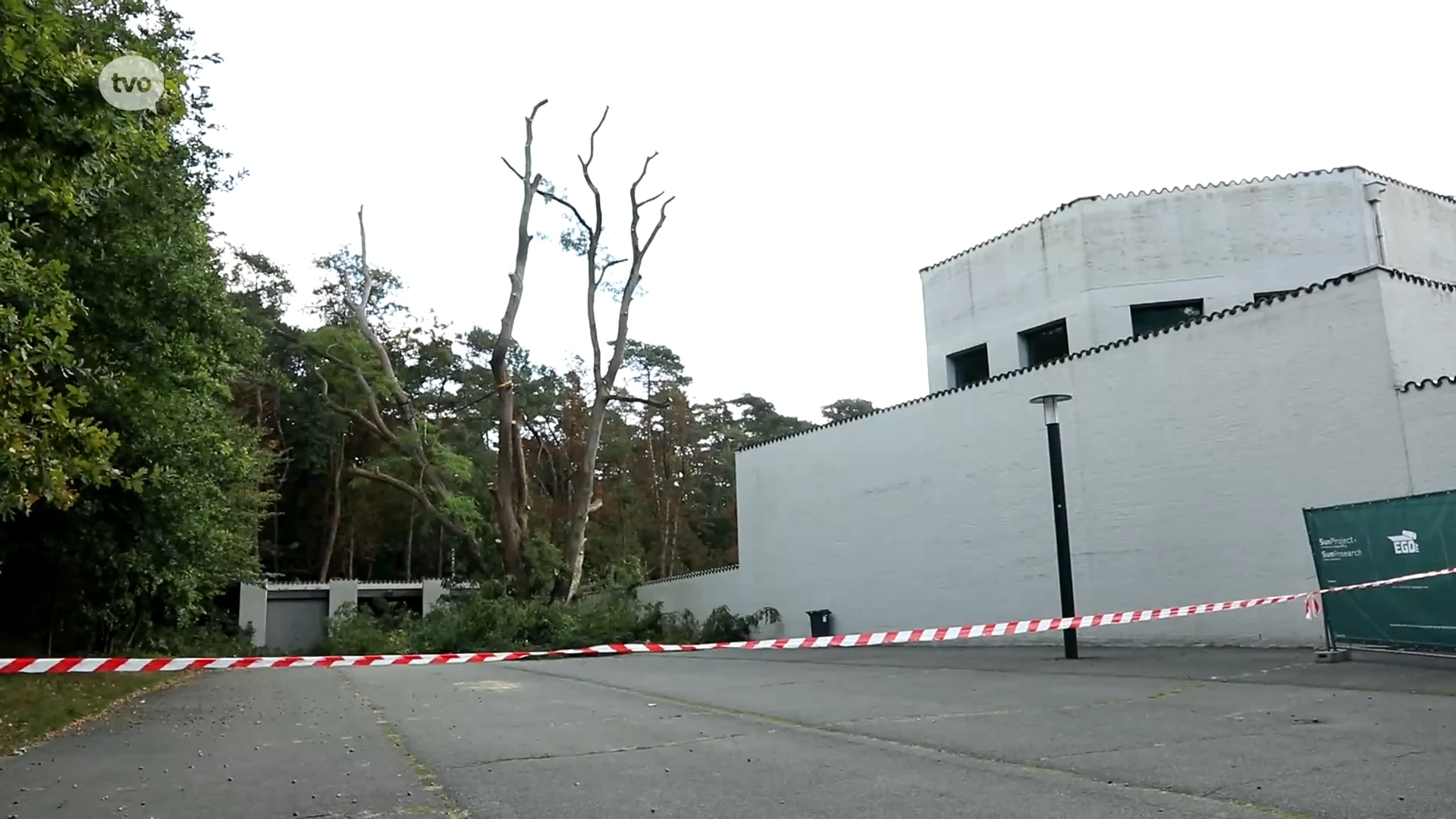 Hoofdafbeelding voor artikel Beschermde acacia aan Roosenbergabdij…