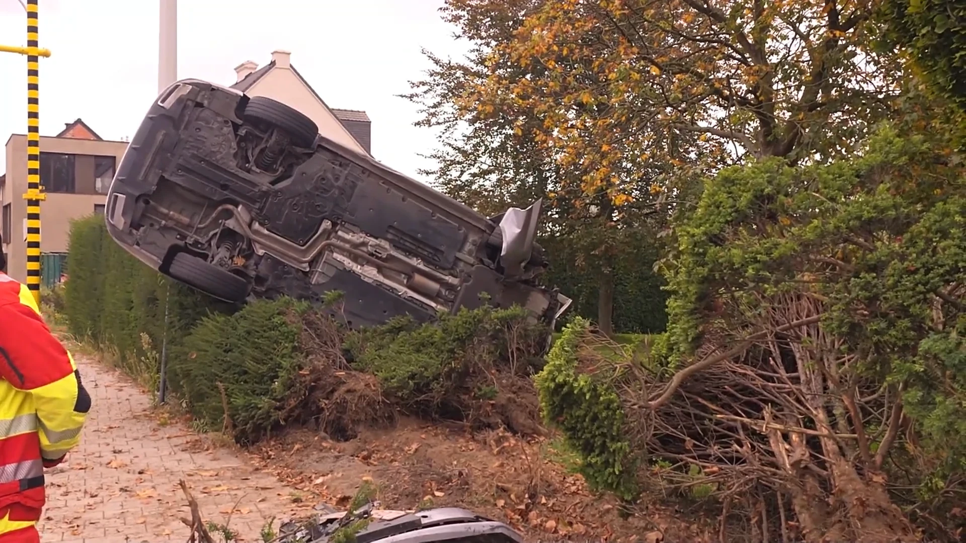 Hoofdafbeelding voor artikel Auto belandt in haag in Appels,…
