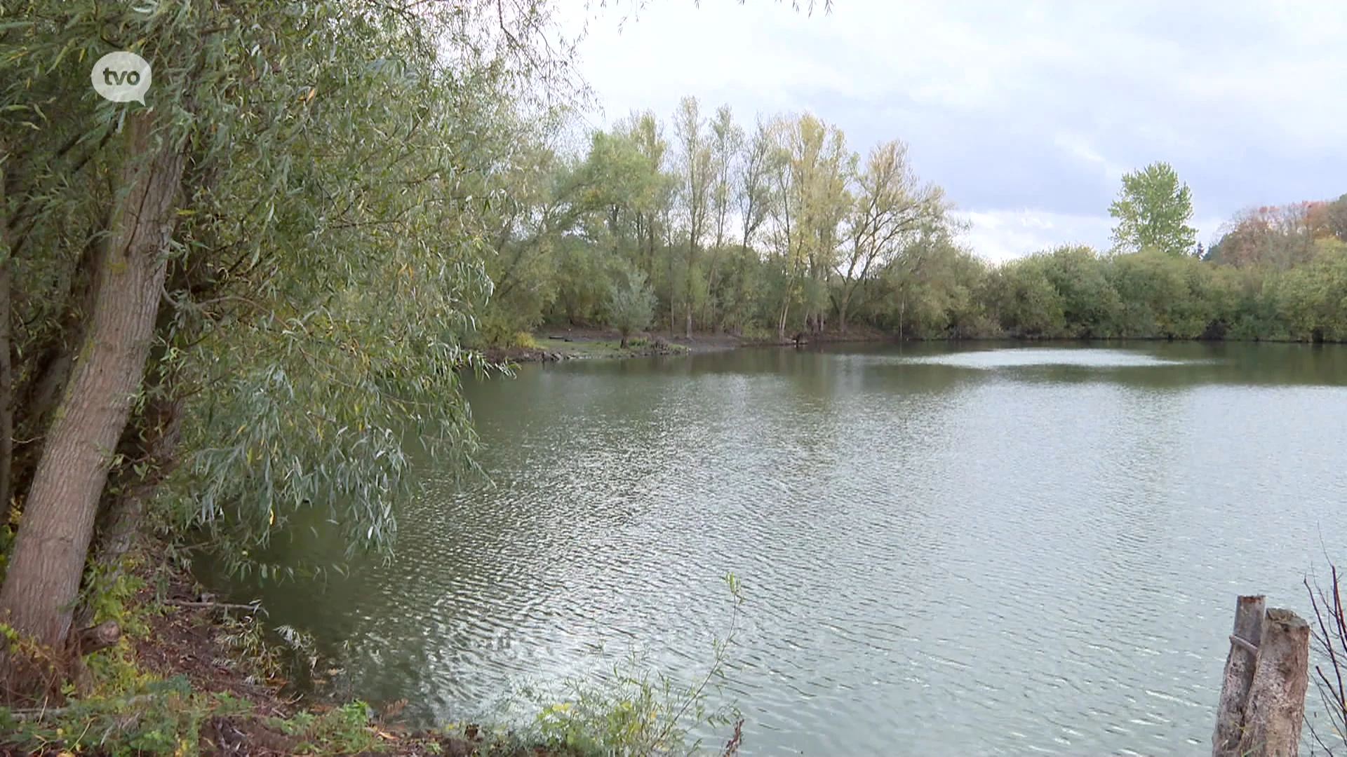 Hoofdafbeelding voor artikel Dan toch geen zonnepanelen…