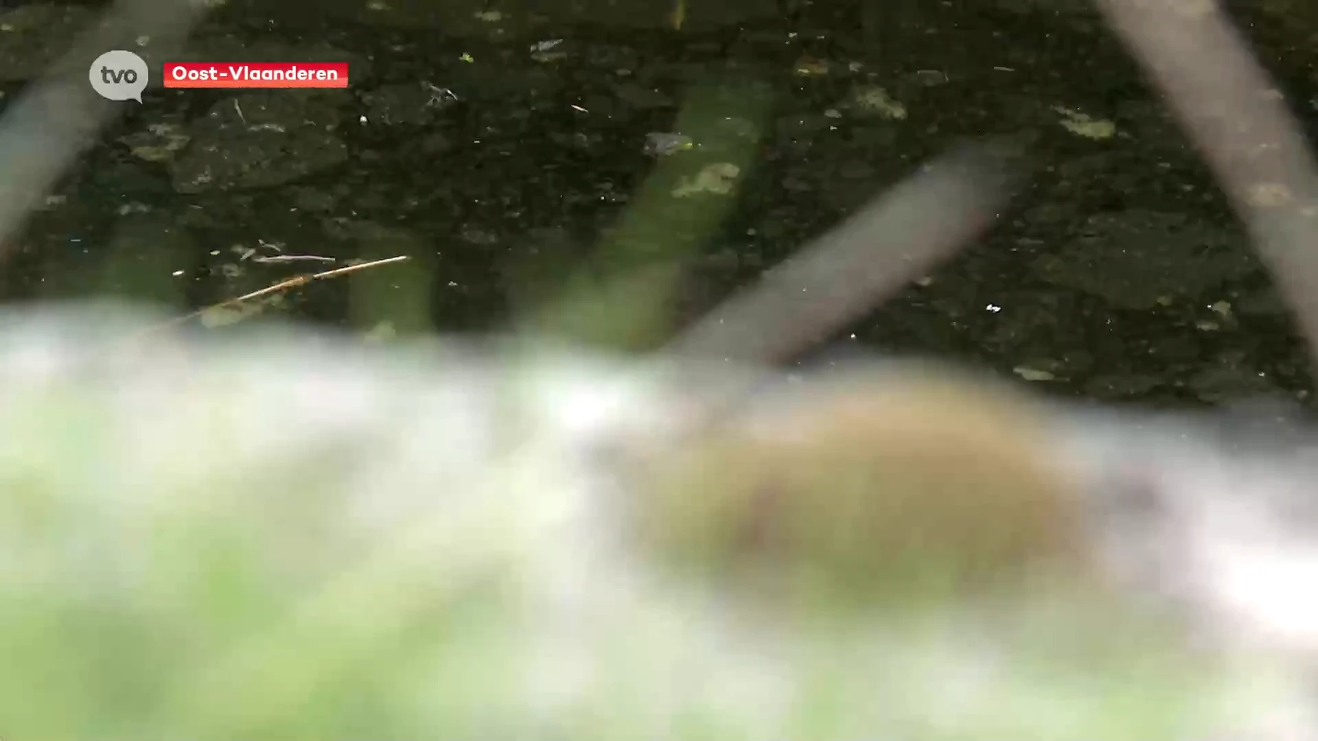 Hoofdafbeelding voor artikel Onttrekkingsverbod op onbevaarbare…