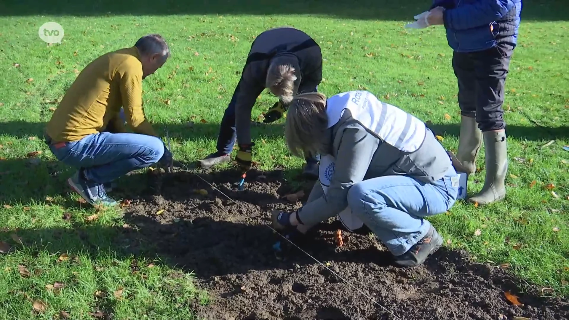 Hoofdafbeelding voor artikel Vijf Wase Rotaryclubs planten…
