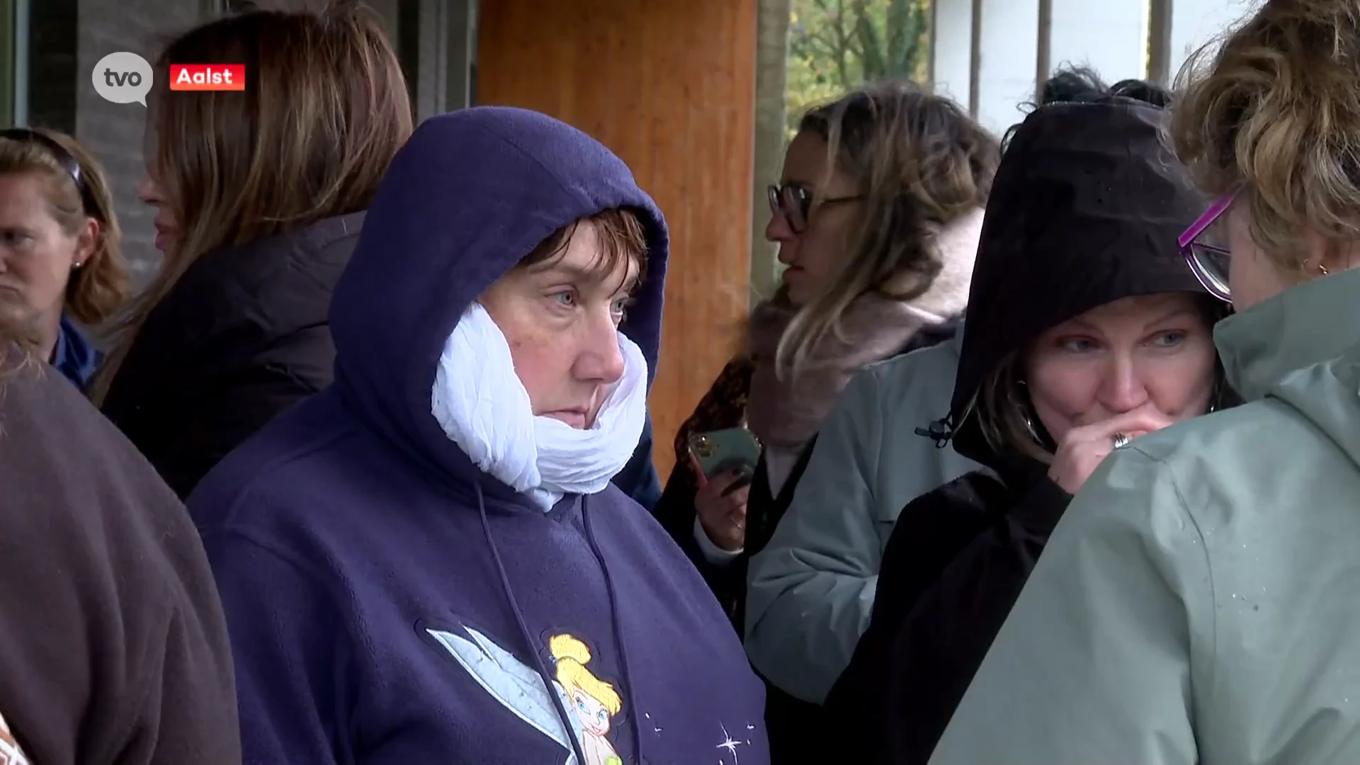 Hoofdafbeelding voor artikel Scholen en crèches in Aalst…