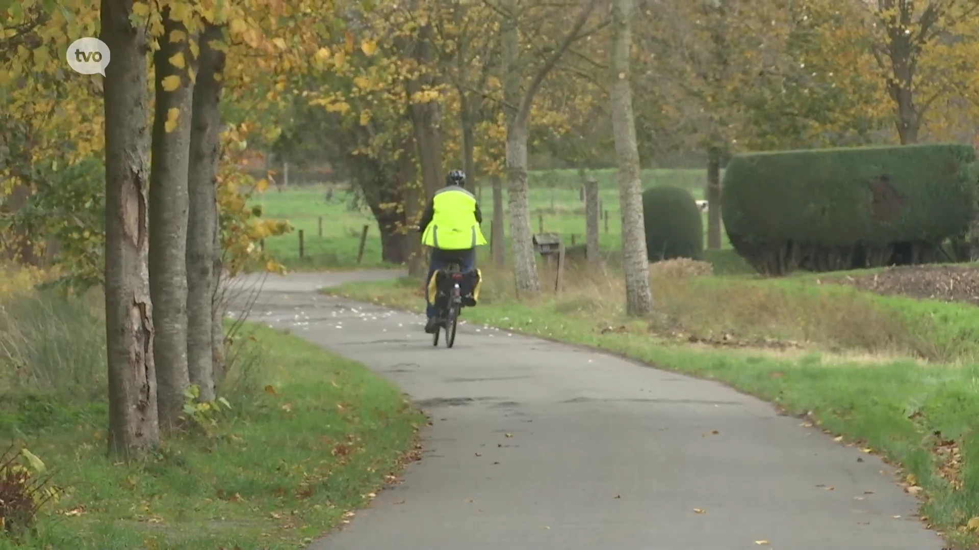 Hoofdafbeelding voor artikel Staat van fietspad oorzaak…