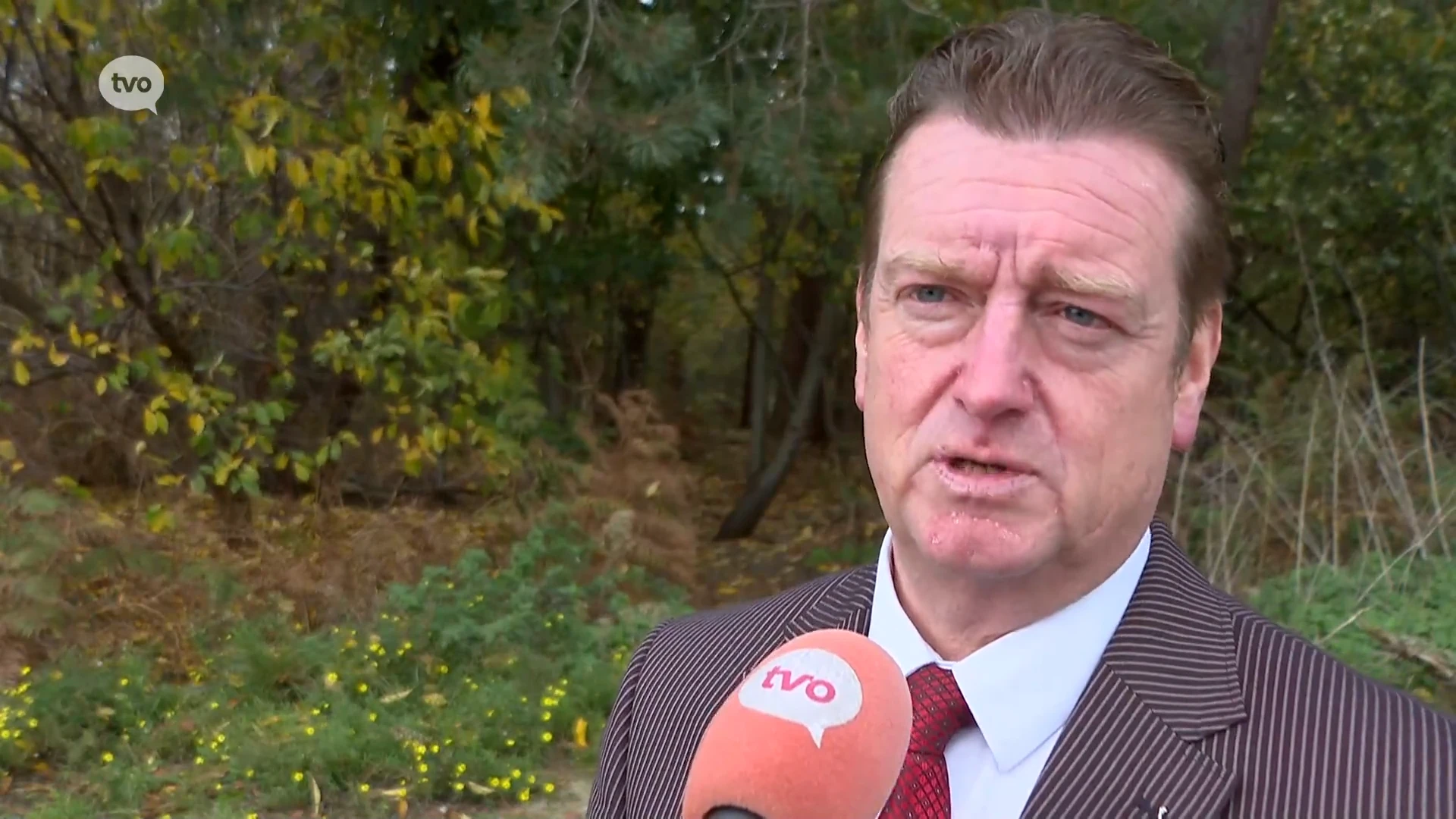 Hoofdafbeelding voor artikel Burgemeester over mogelijk…