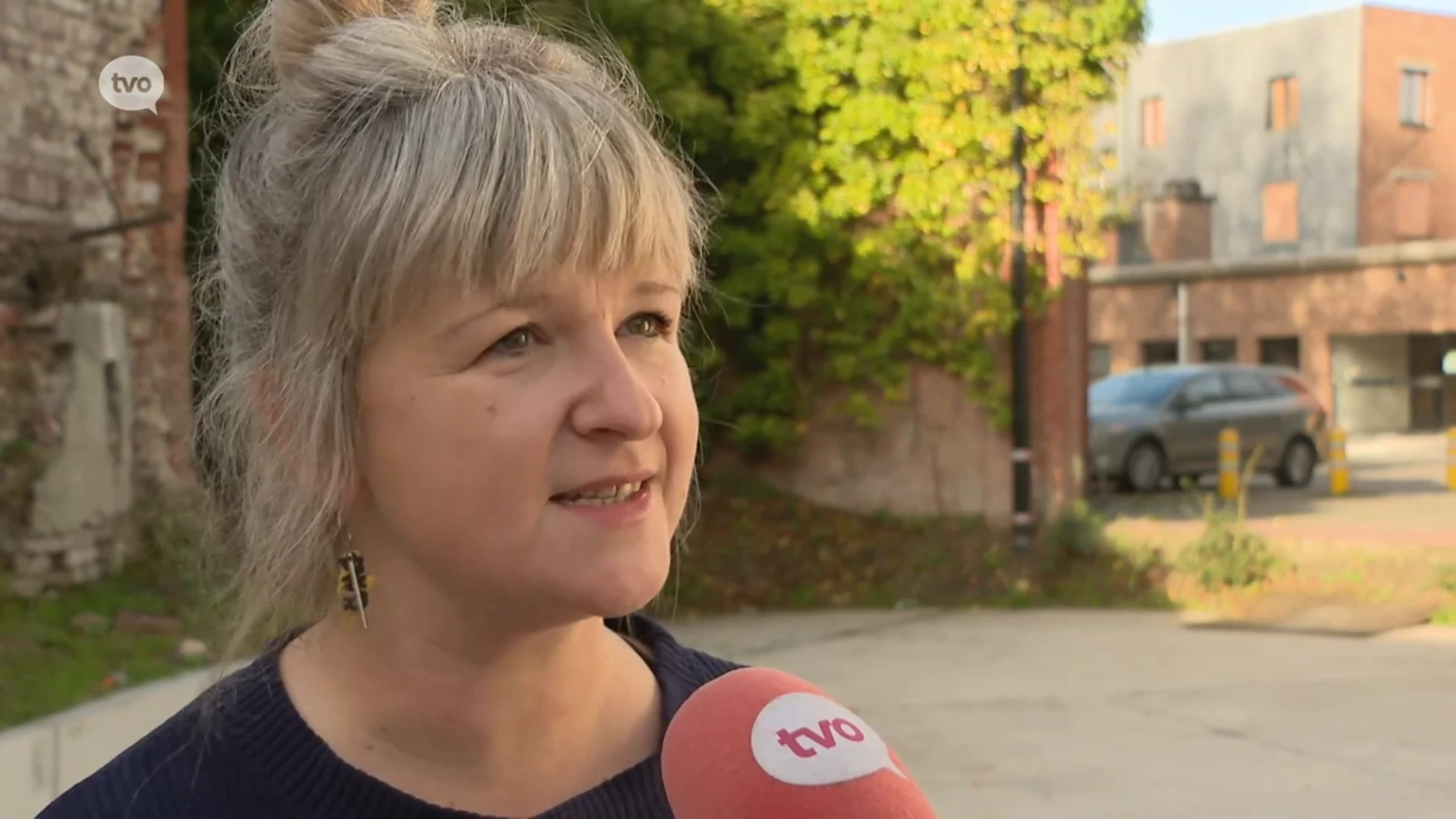 Hoofdafbeelding voor artikel Geraardsbergen en Ninove in…