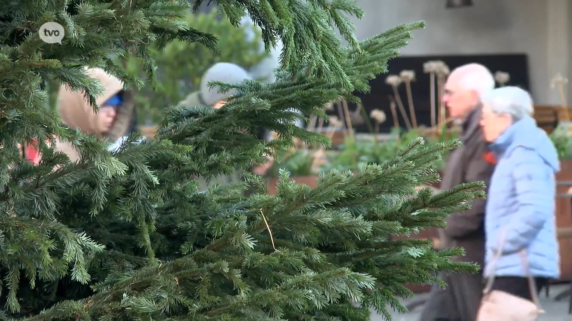 Hoofdafbeelding voor artikel Kerstboom van 10 meter hoog…