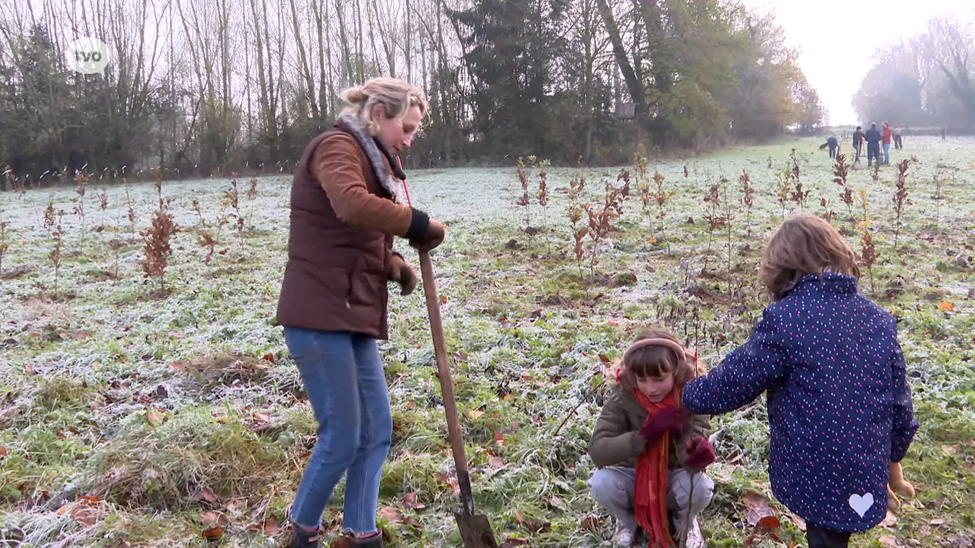 Hoofdafbeelding voor artikel 2.000 bomen vlakbij Bosberg…