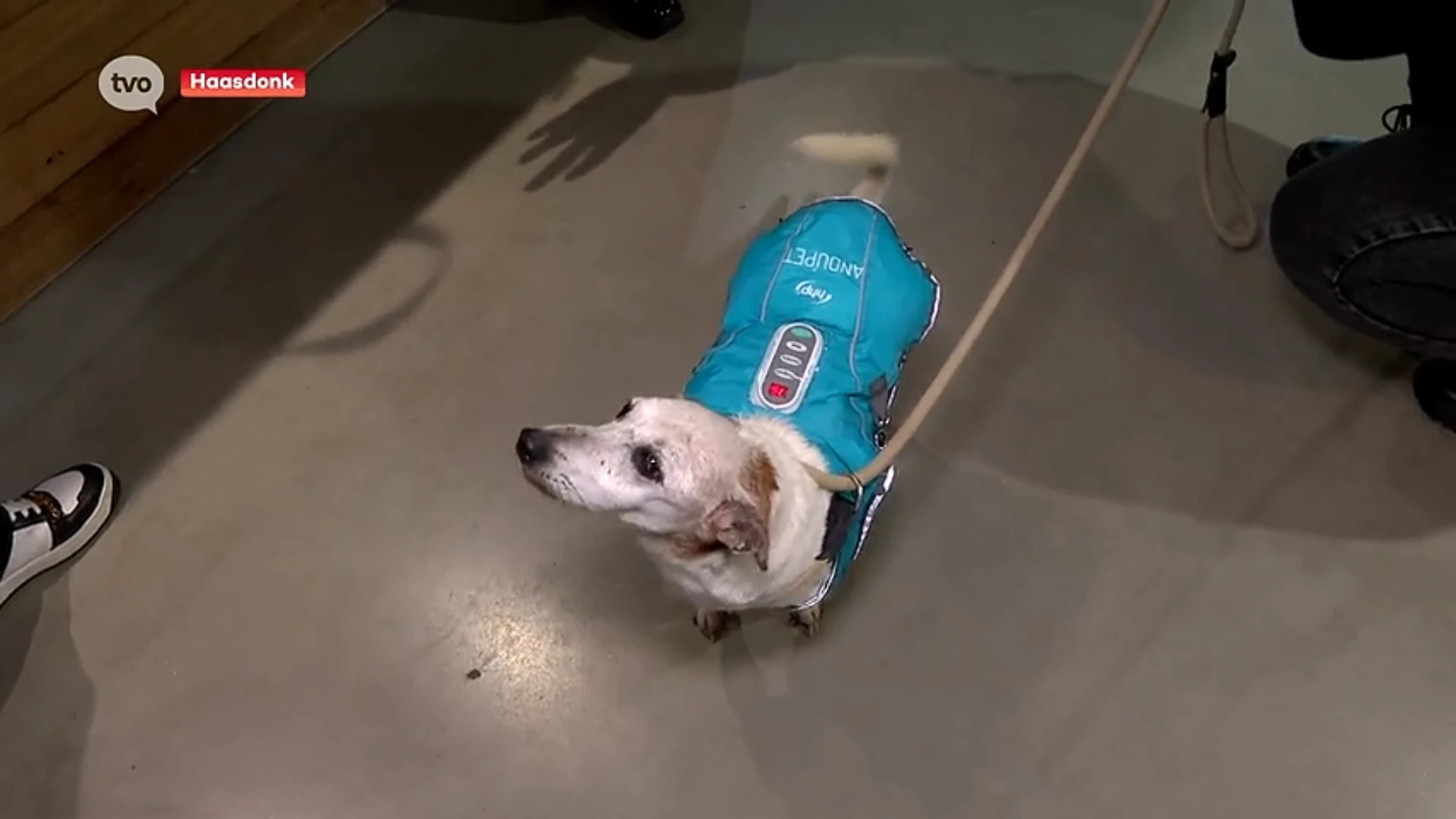 Hoofdafbeelding voor artikel Weldoener schenkt warmte-…