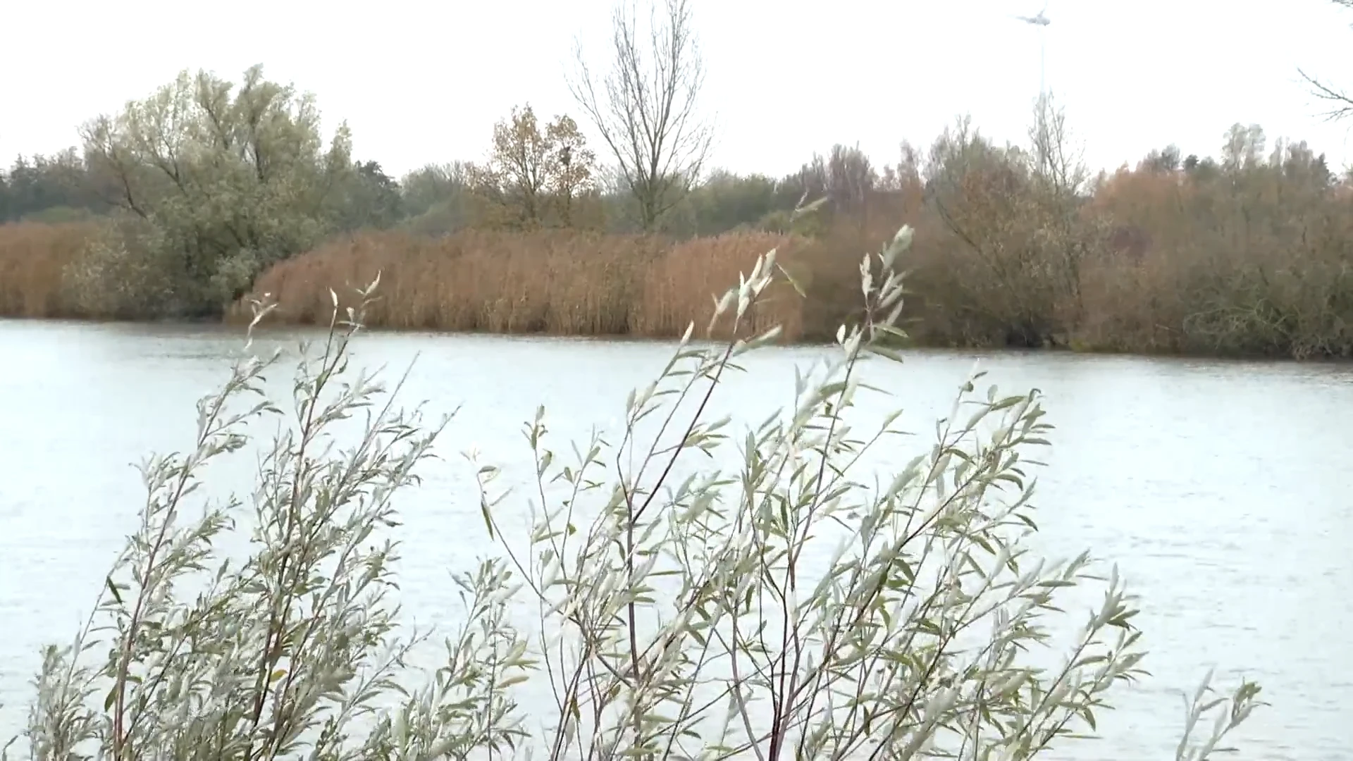 Hoofdafbeelding voor artikel Overstromingsgebied Vlassenbroek…