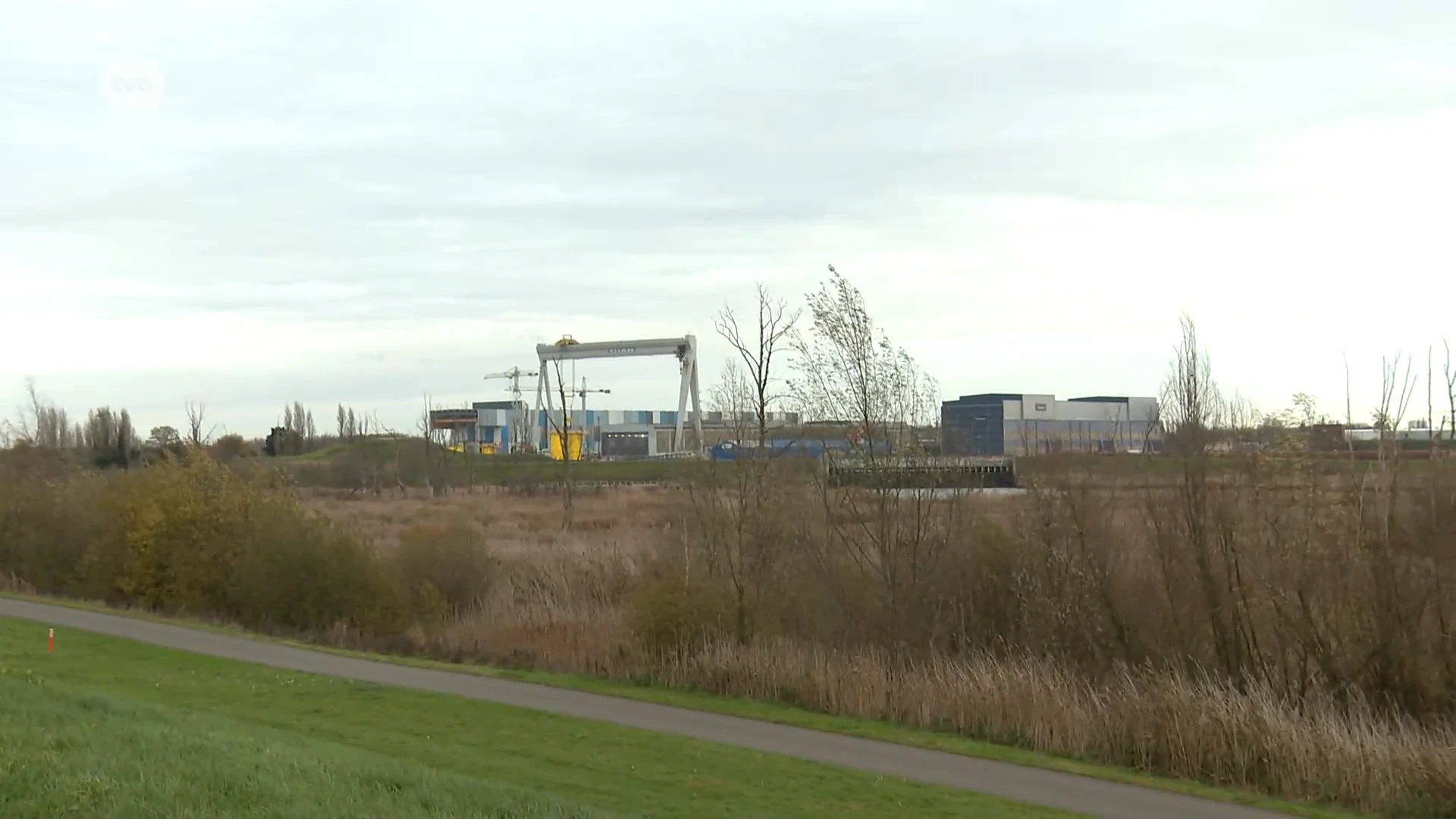 Hoofdafbeelding voor artikel Groenbuffer moet geluidshinder…