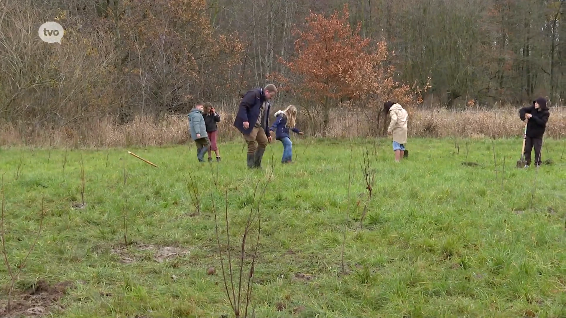 Hoofdafbeelding voor artikel Provincie plant 1.400 bomen…