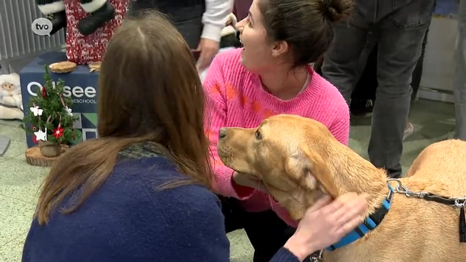 Hoofdafbeelding voor artikel Stressvrij de blok in: Odisee-hogeschool…