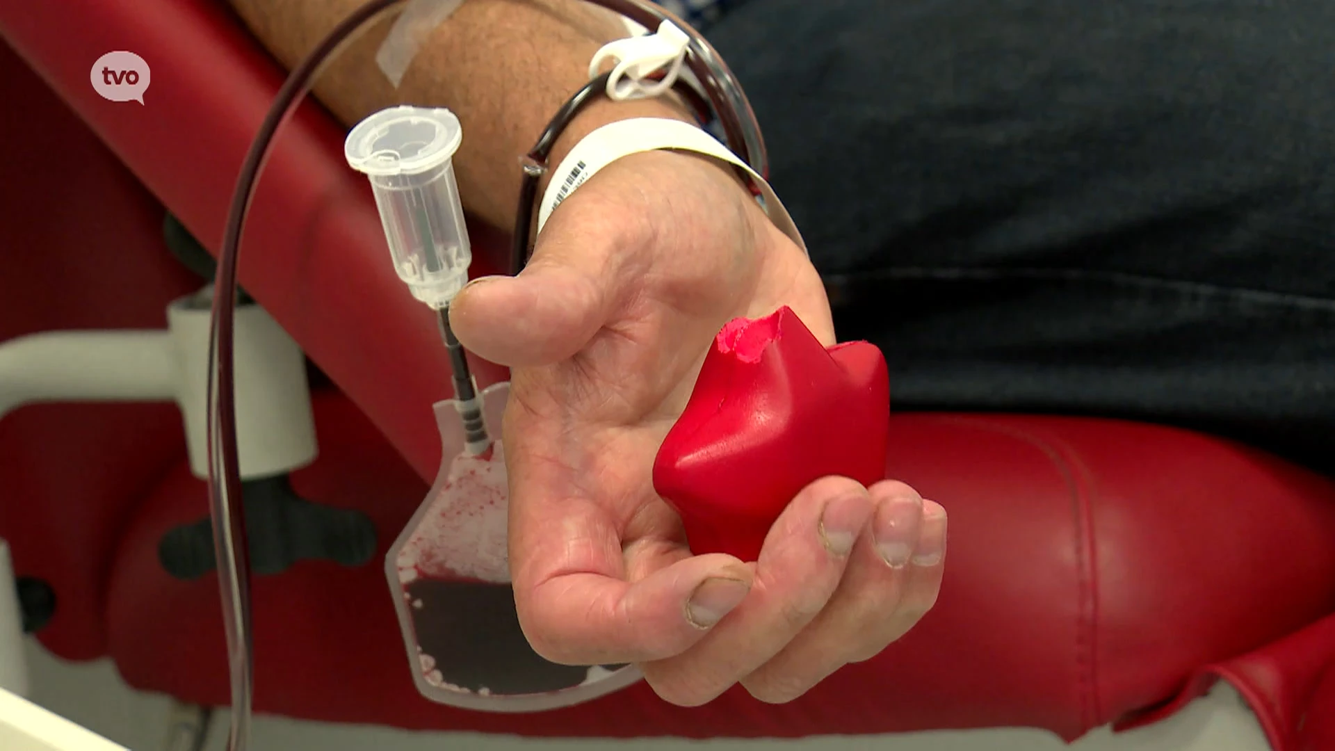 Hoofdafbeelding voor artikel Rode Kruis Oost-Vlaanderen…