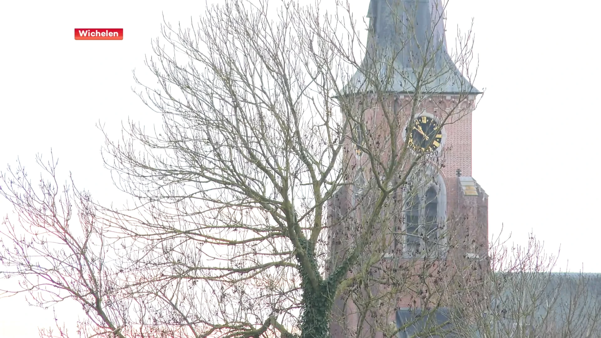 Hoofdafbeelding voor artikel Wichelen stelt meerjarenplanning…