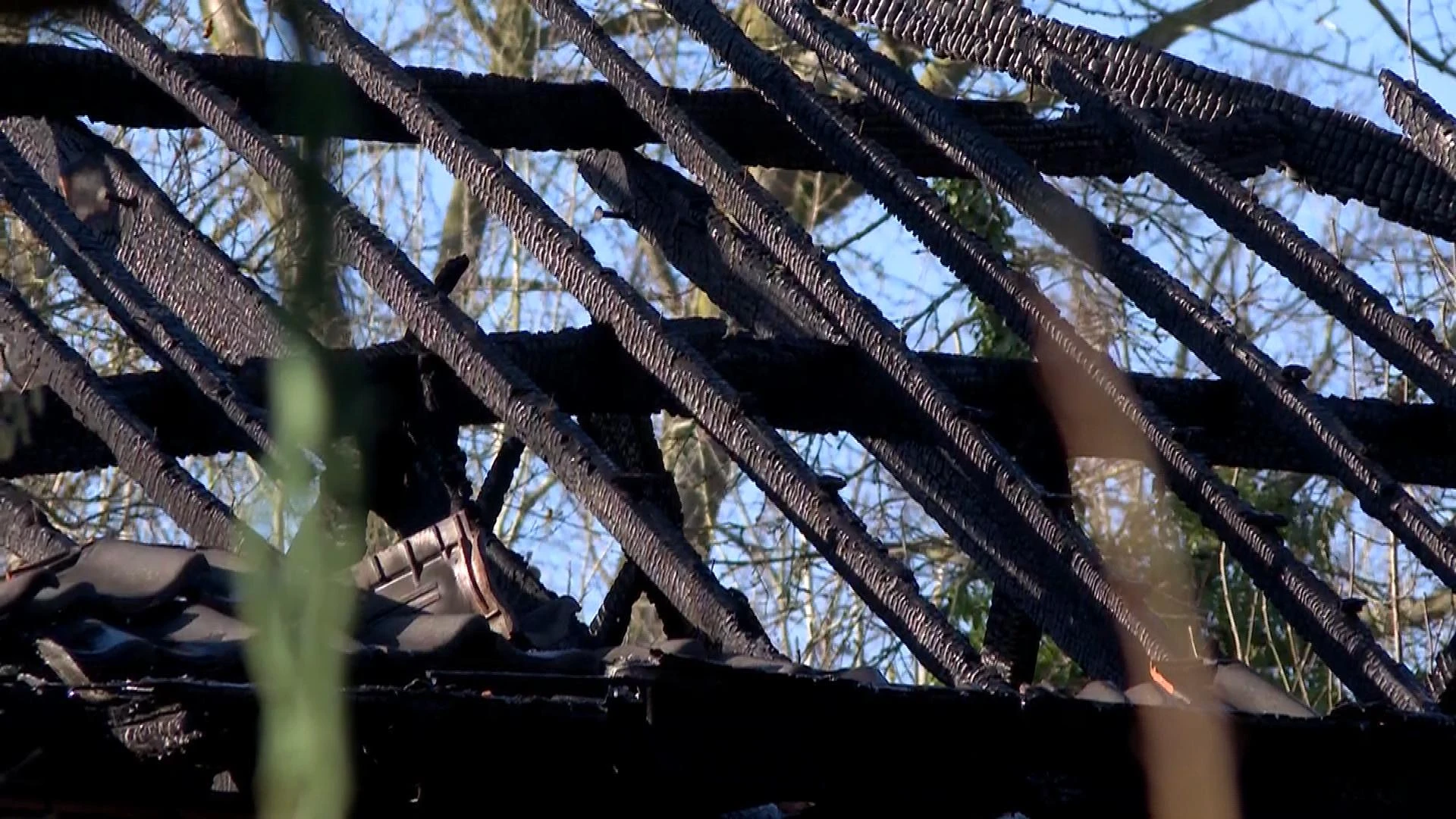 Hoofdafbeelding voor artikel 60-jarige man overleden na…