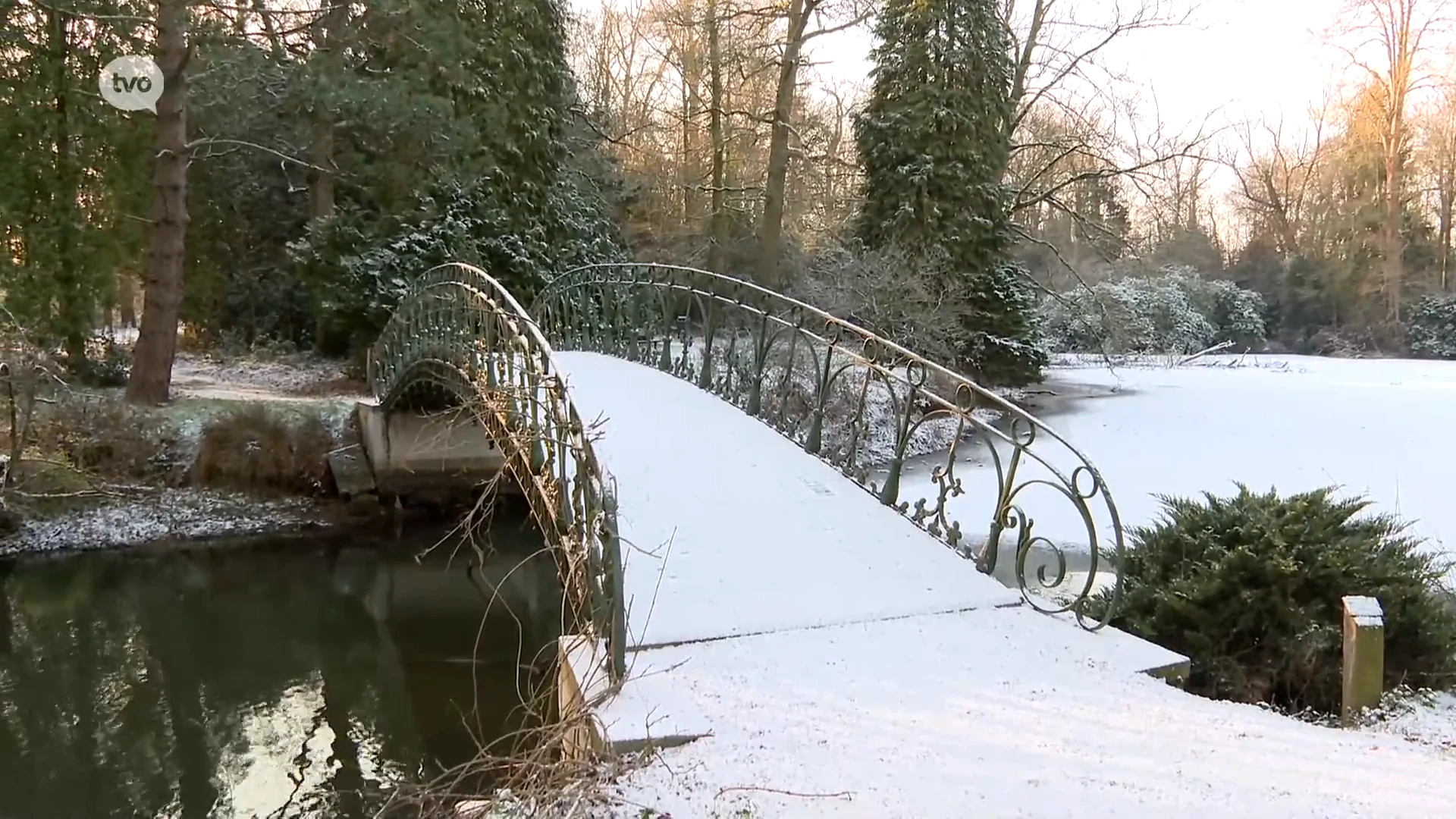 Hoofdafbeelding voor artikel Eerste sneeuw van het jaar…
