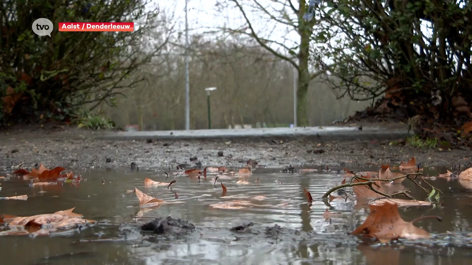 Hoofdafbeelding voor artikel Parken, bossen en stedelijke…