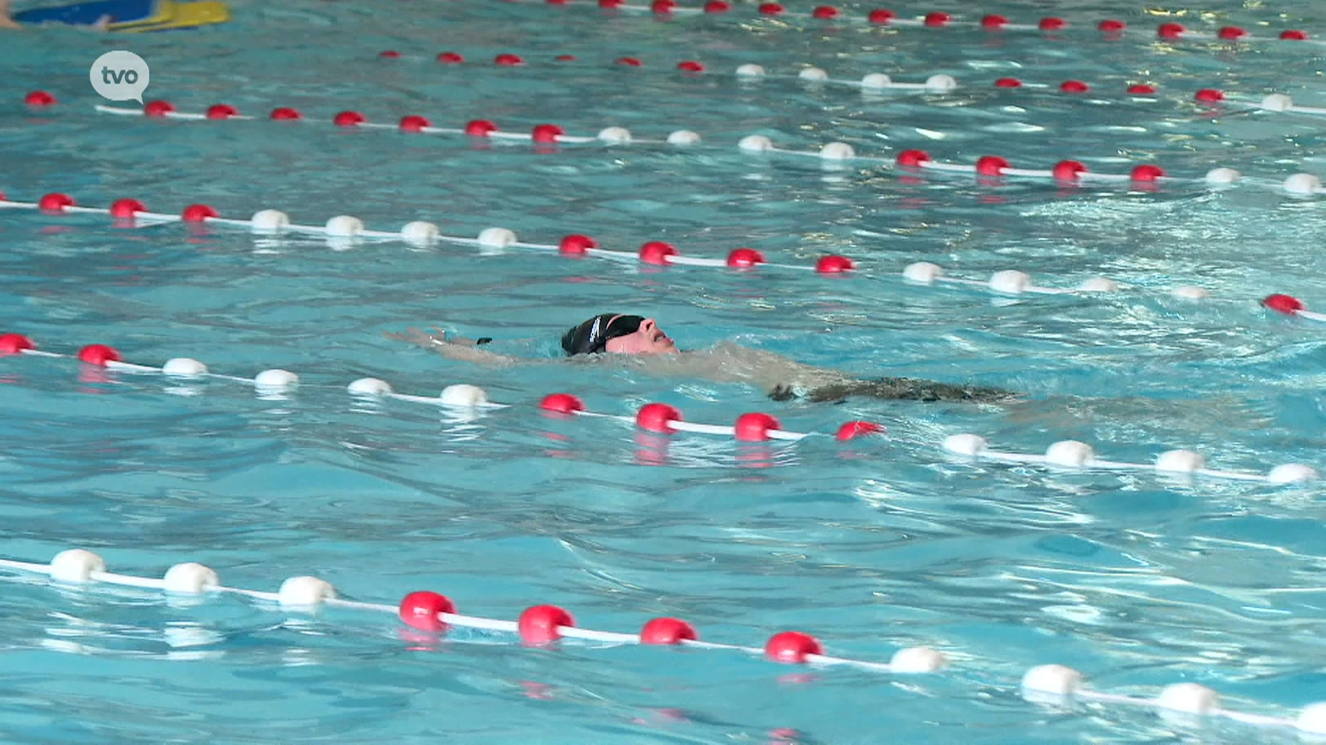 Hoofdafbeelding voor artikel Afscheid van Sinbad in Sint-Niklaas:…