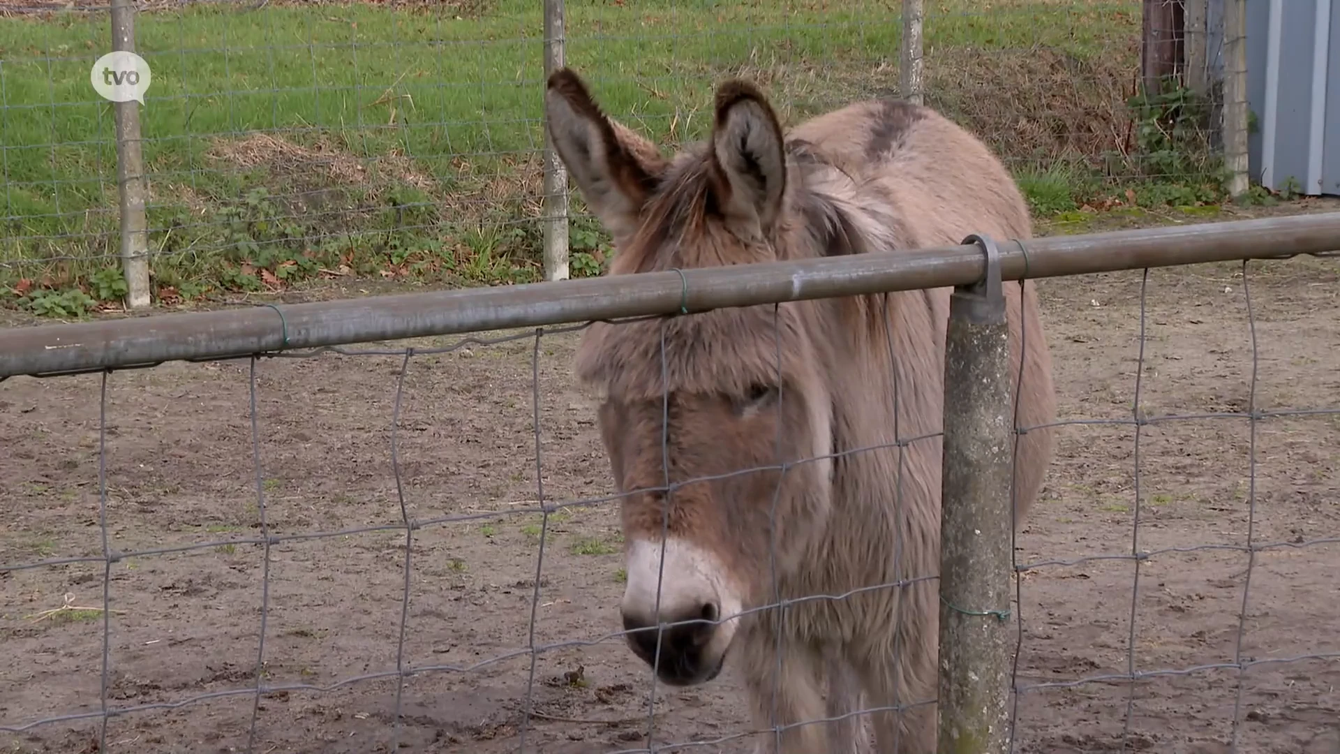 Hoofdafbeelding voor artikel 47-jarige Belg aangehouden…