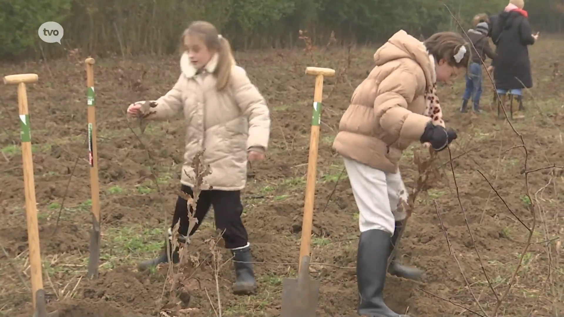 Hoofdafbeelding voor artikel Leerlingen planten 1.200 bomen…
