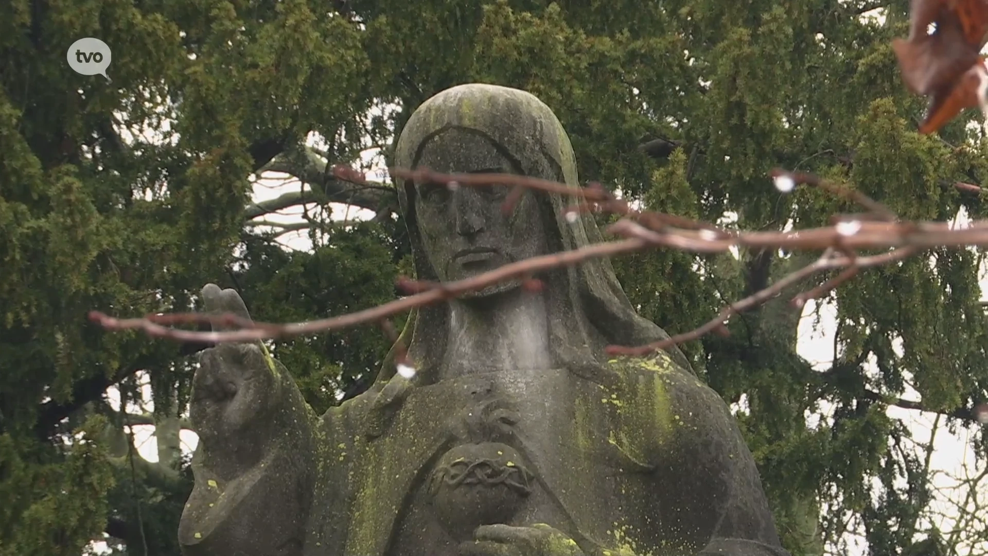 Hoofdafbeelding voor artikel Dader gevat van gooien van…