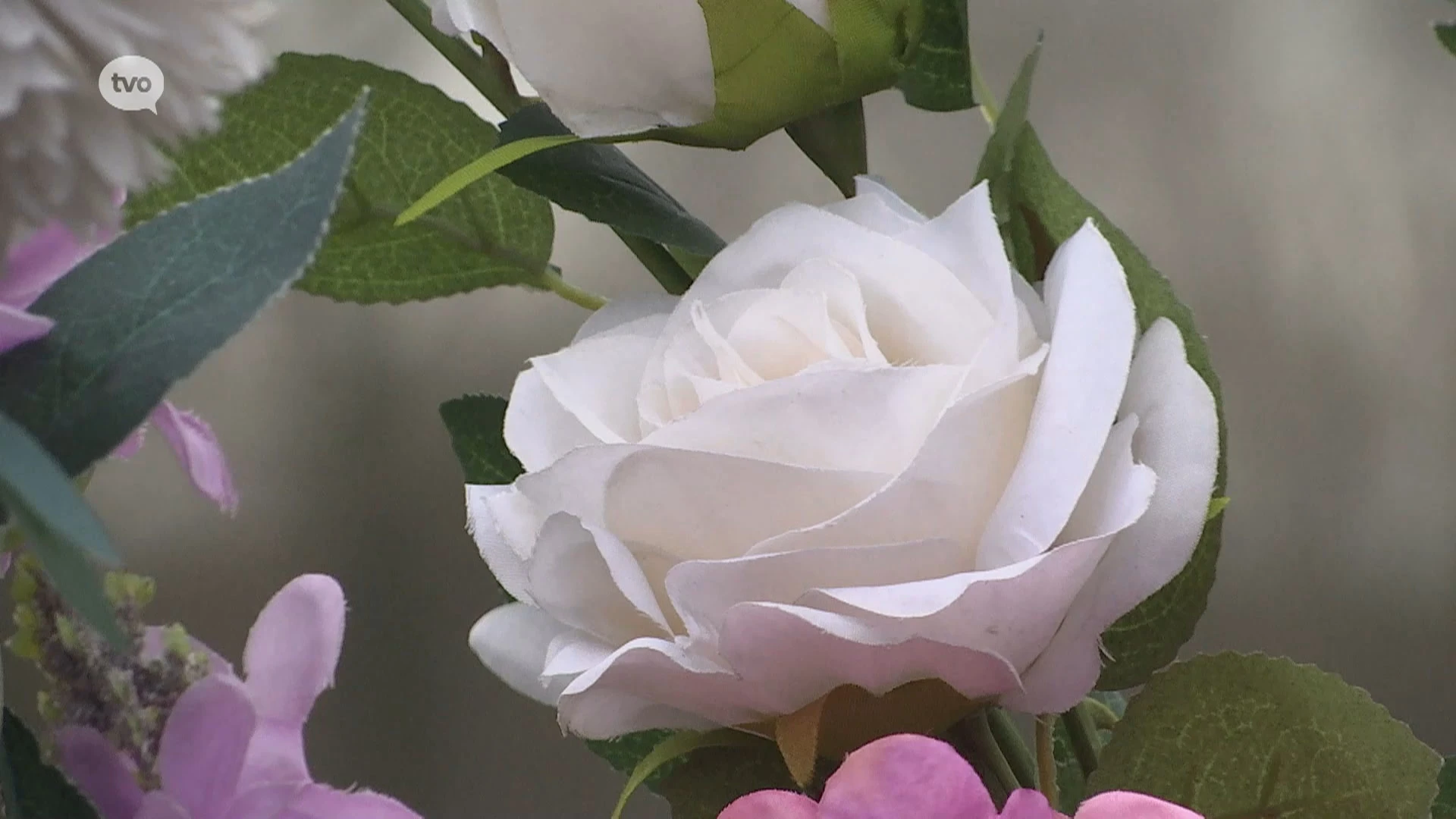 Hoofdafbeelding voor artikel Doodrijder Francis Aerts krijgt…