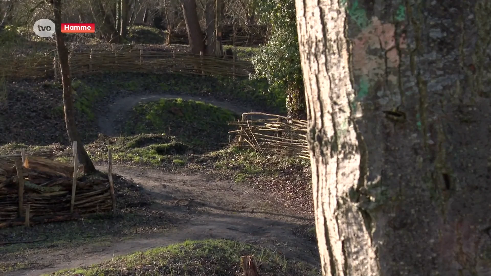 Wereldbekercross veldrijden komt in 2027 naar Hamme: "Dit gaat ons op de kaart zetten"