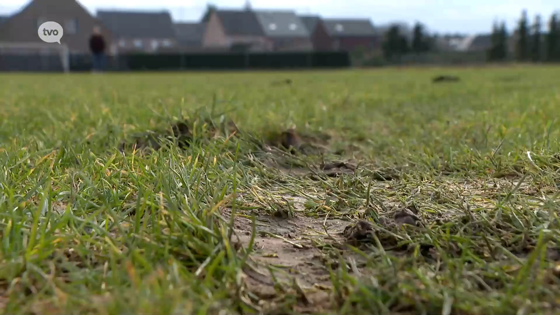 Hoofdafbeelding voor artikel Oproep naar getuigen in Hamme:…