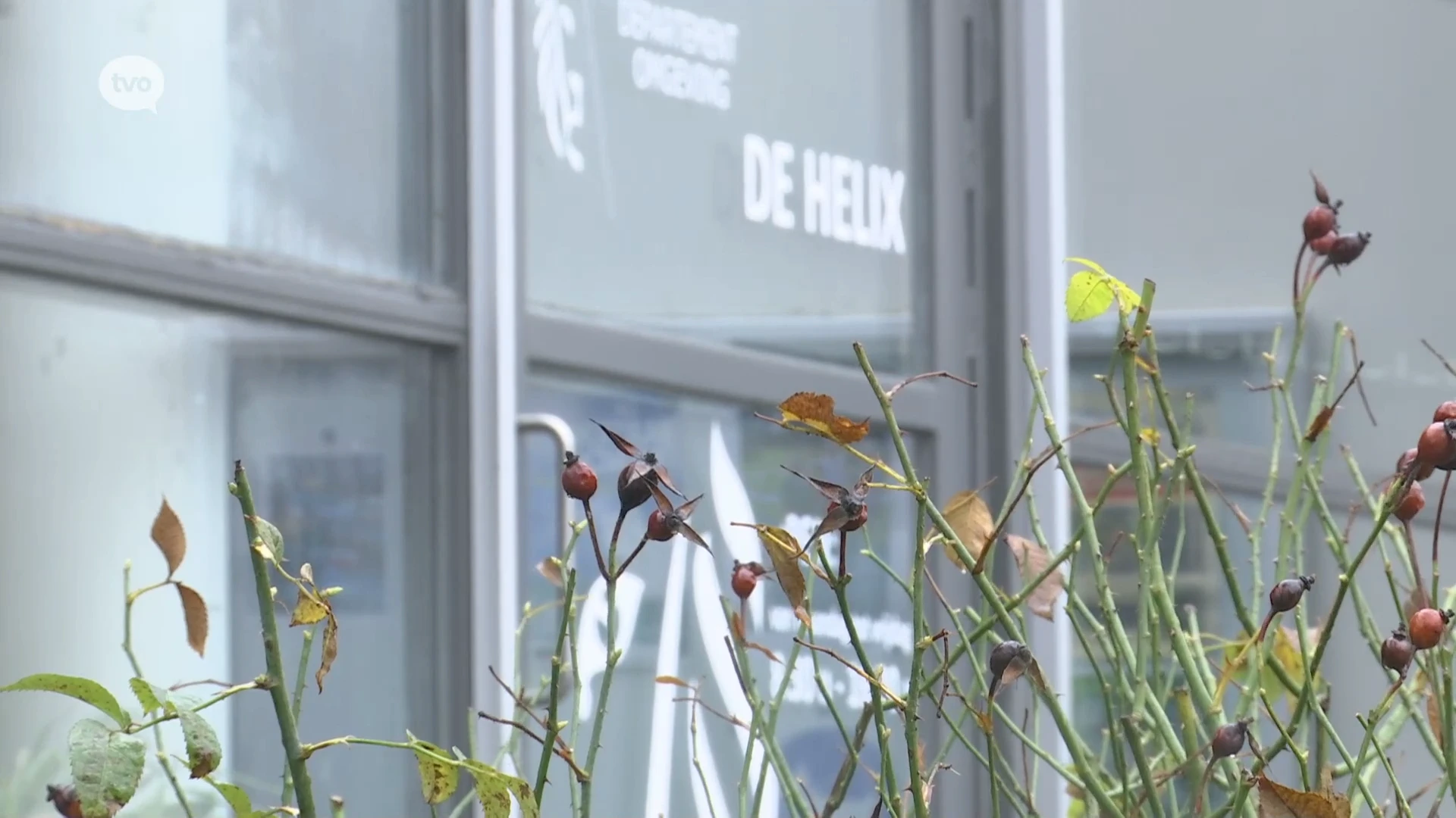 Hoofdafbeelding voor artikel Vlaamse overheid zet werking…