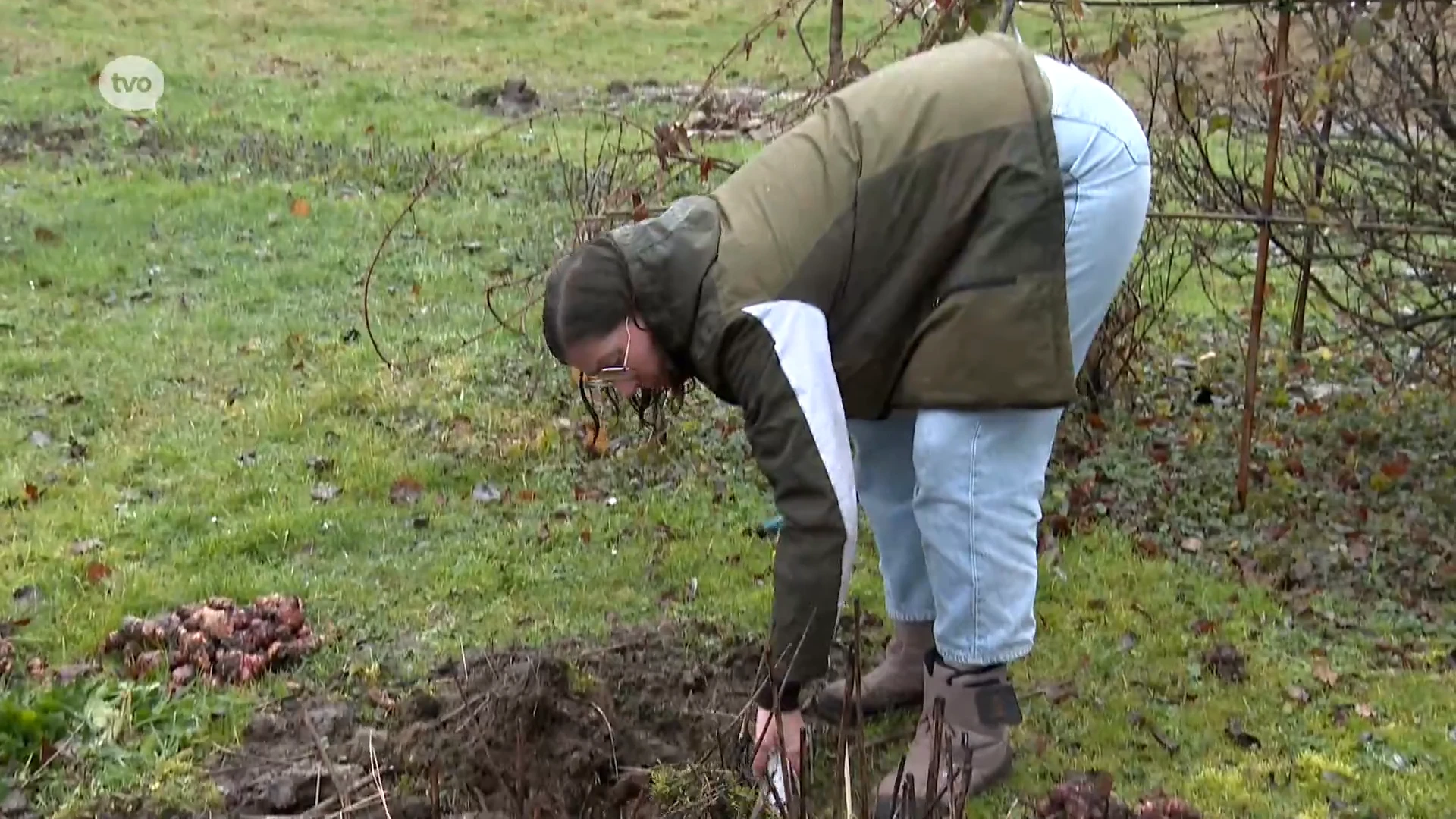 Hoofdafbeelding voor artikel Janna start zelfoogstboerderij…