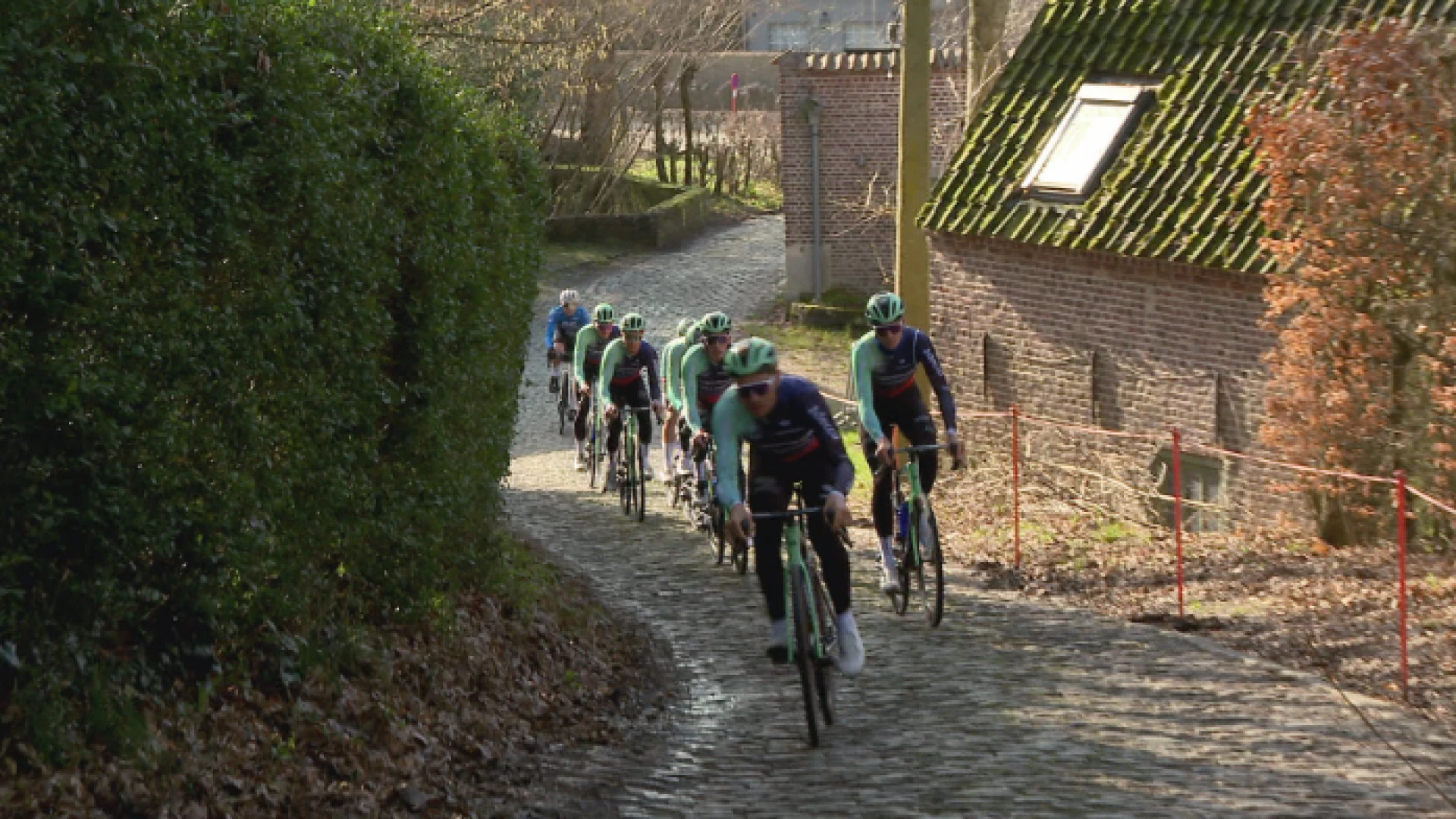 Hoofdafbeelding voor artikel Volg hier alles over de Omloop…