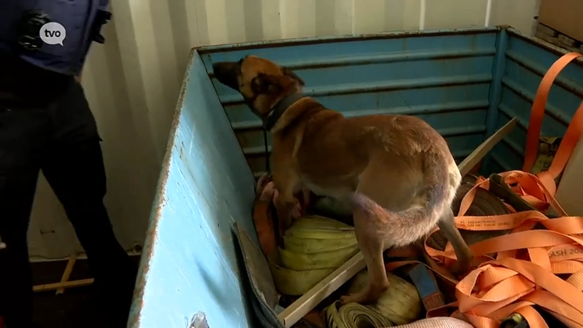 Hoofdafbeelding voor artikel Federale gerechtelijke politie…