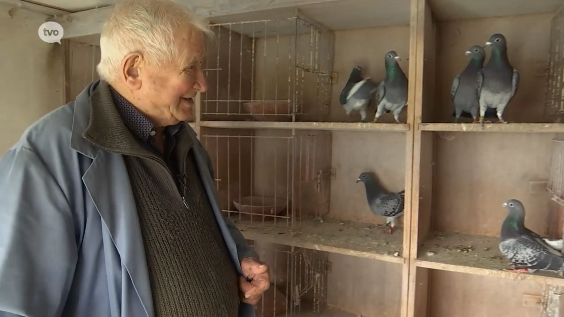 Hoofdafbeelding voor artikel Felix (95) uit Melsele is…