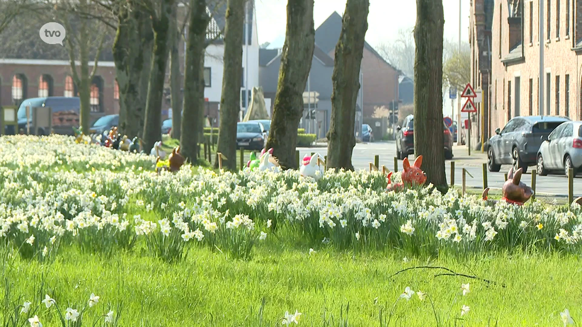 Hoofdafbeelding voor artikel Paasbloemen in Opdorp in volle…