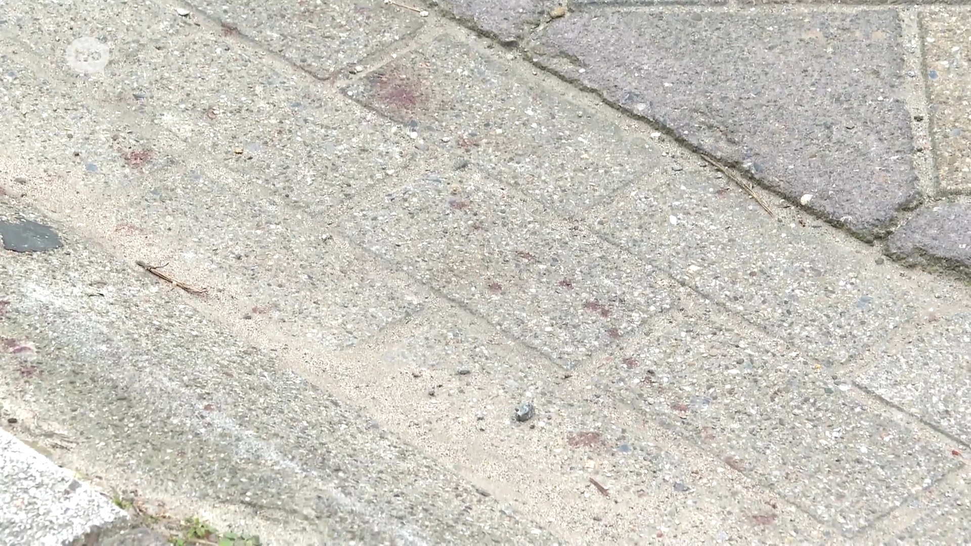 Vader neergestoken na ruzie met andere papa over pestgedrag bij dochters in Melsele