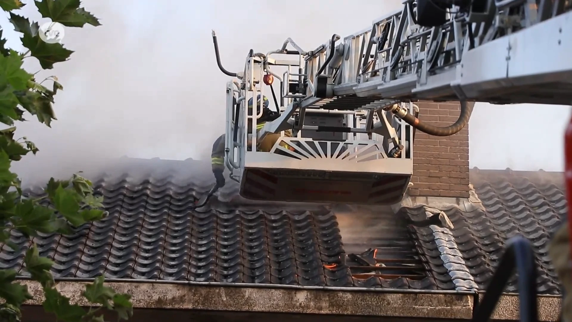 Hoofdafbeelding voor artikel 10% van de Oost-Vlamingen…