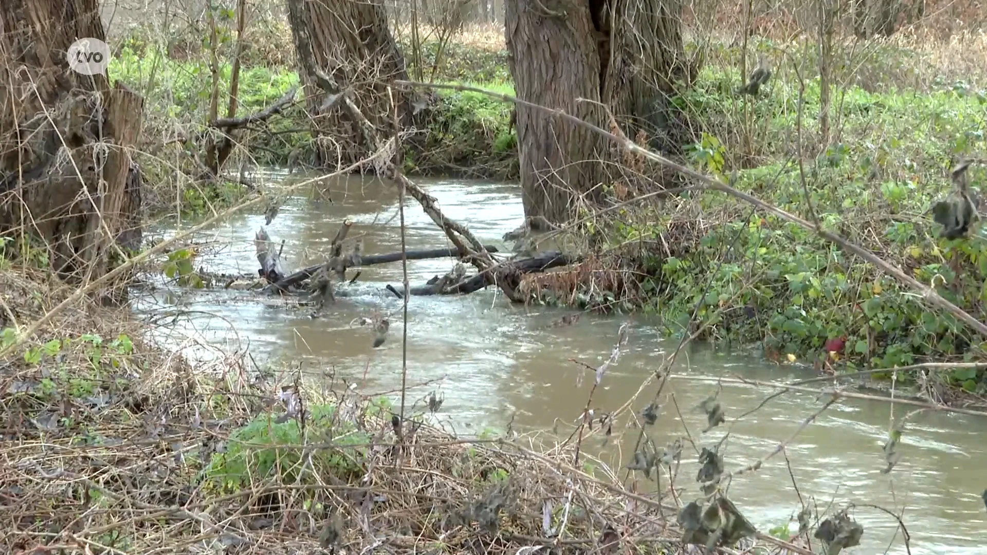 Hoofdafbeelding voor artikel Regio onderneemt acties om…