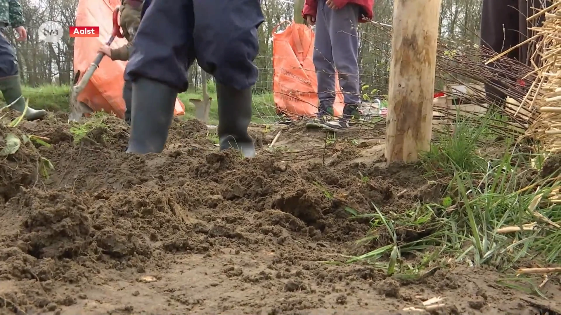 Hoofdafbeelding voor artikel Leerlingen Steinerschool in…