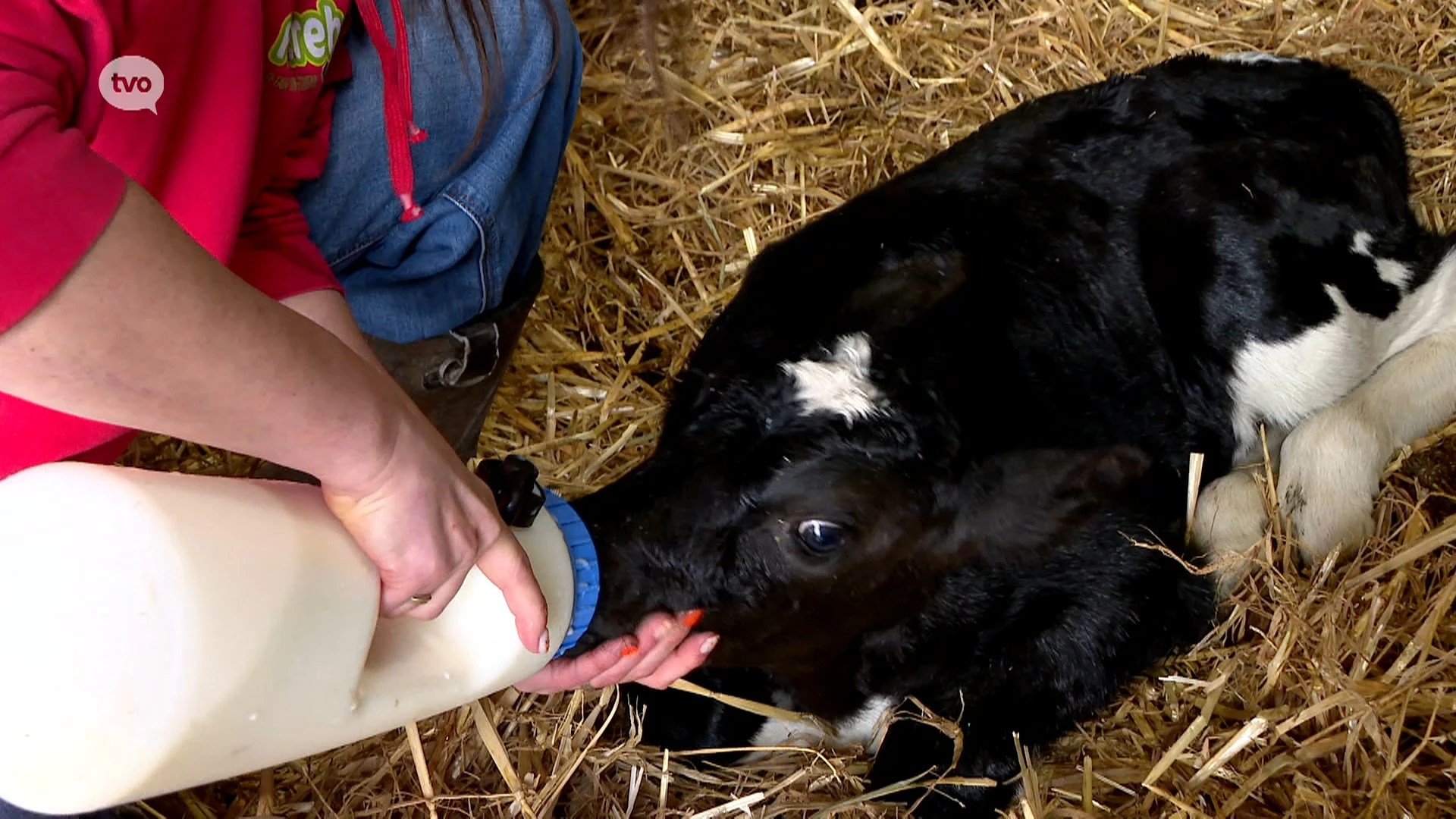 Hoofdafbeelding voor artikel Steeds meer boeren kloppen…