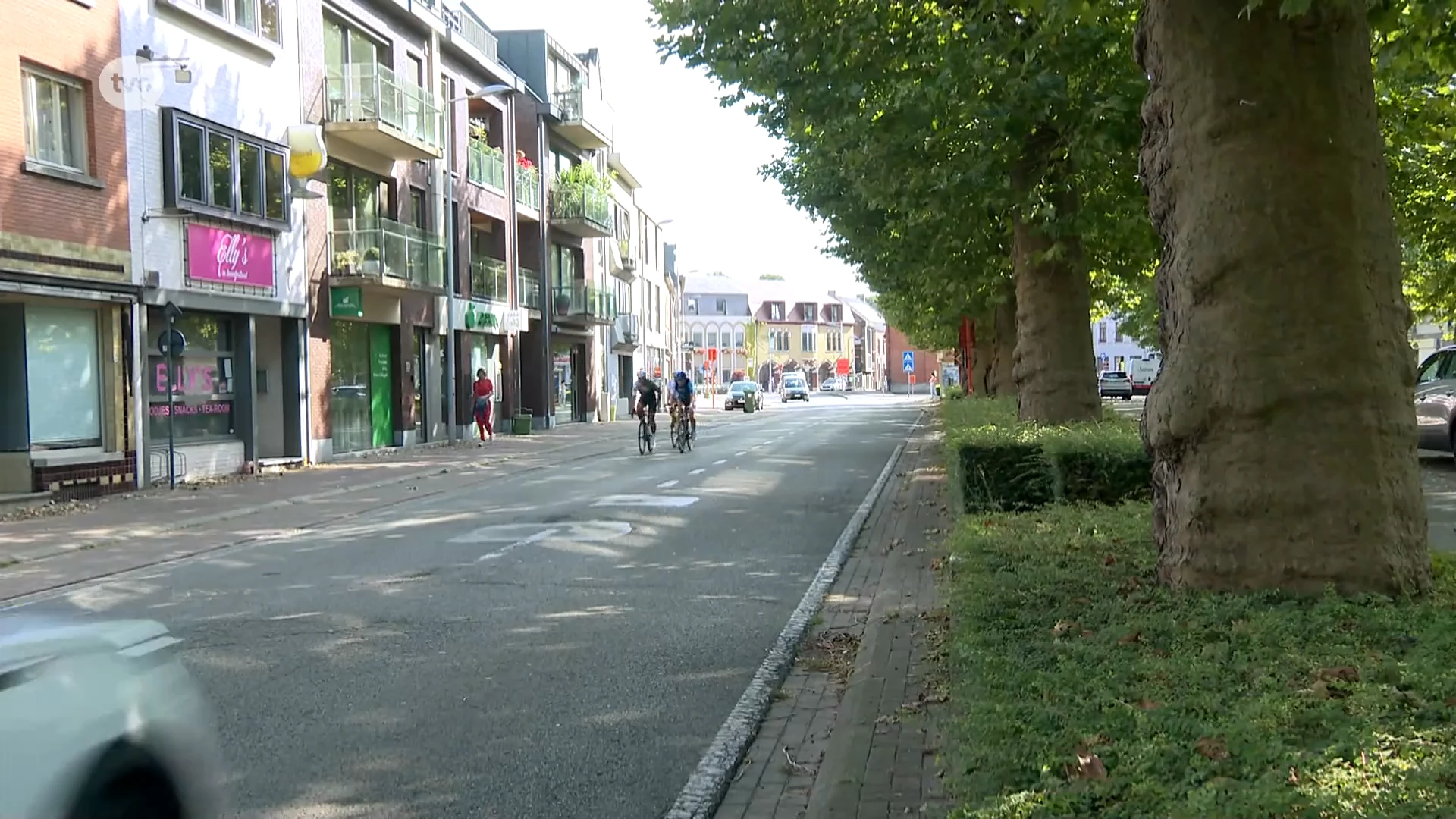 Hoofdafbeelding voor artikel Bijtincident met hond op kermis…