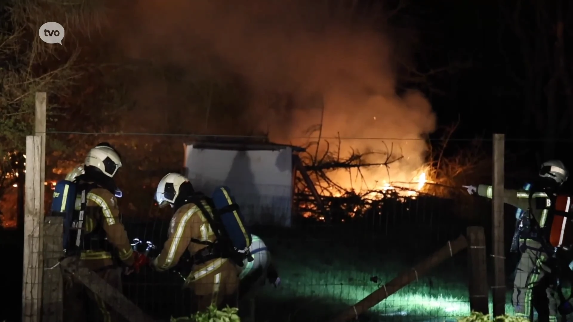 Hoofdafbeelding voor artikel Sparrenbos in Denderhoutem…