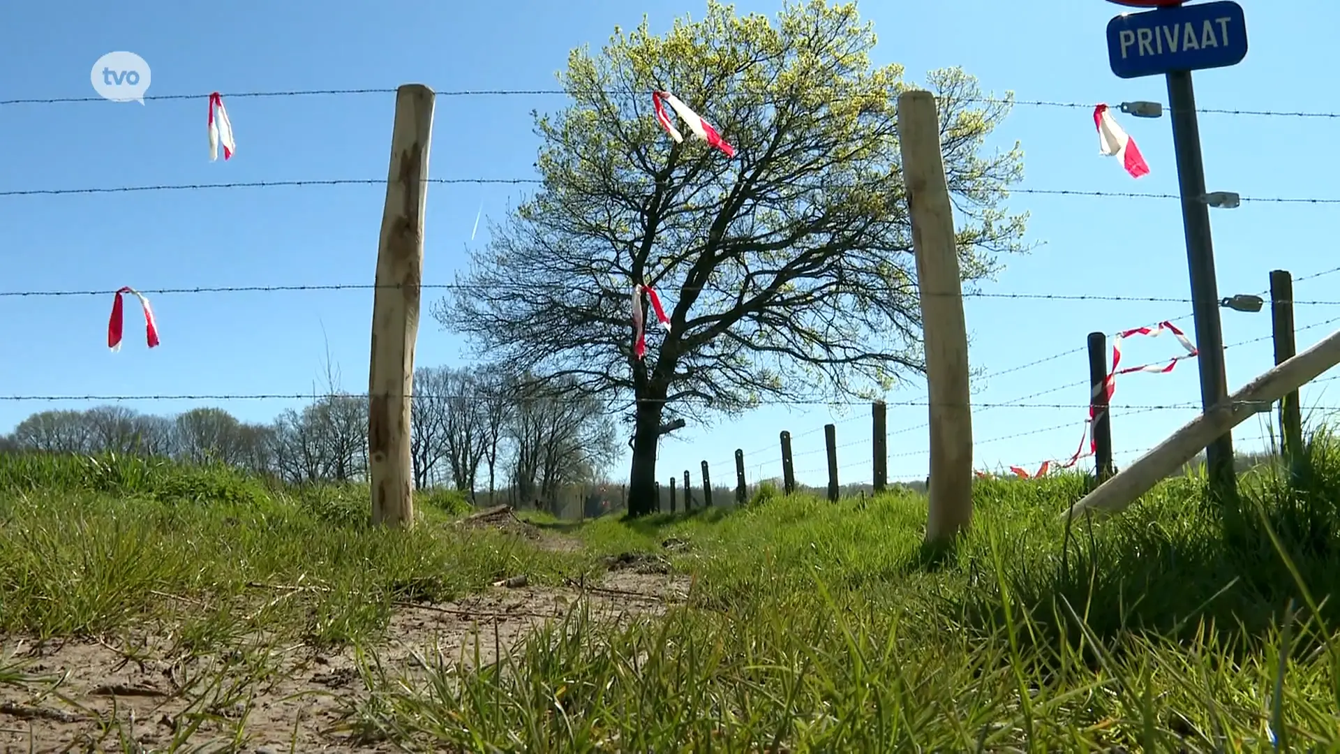 Hoofdafbeelding voor artikel Wandelpad Wetteren na tientallen…