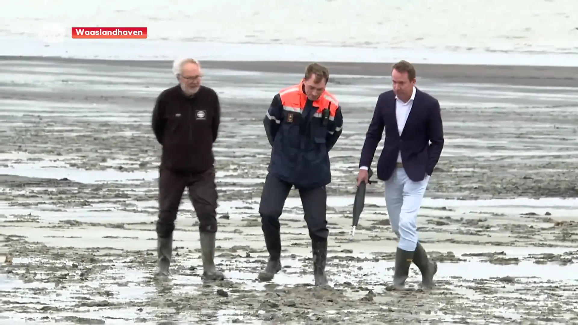 Minister Jo Brouns (cd&v) over vervuiling in Waaslandhaven: "Focus is om broedgebieden van vogels maximaal te vrijwaren"