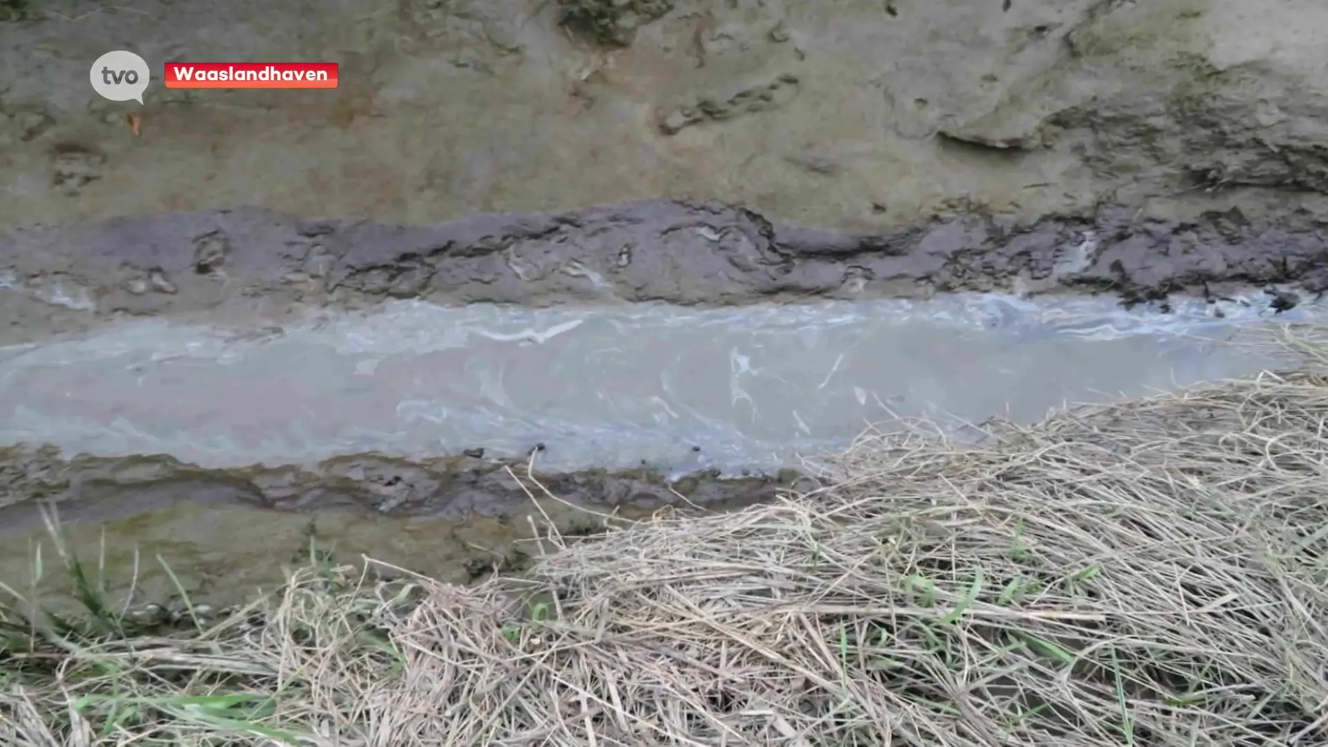 Hoofdafbeelding voor artikel Olievervuiling duikt op in…