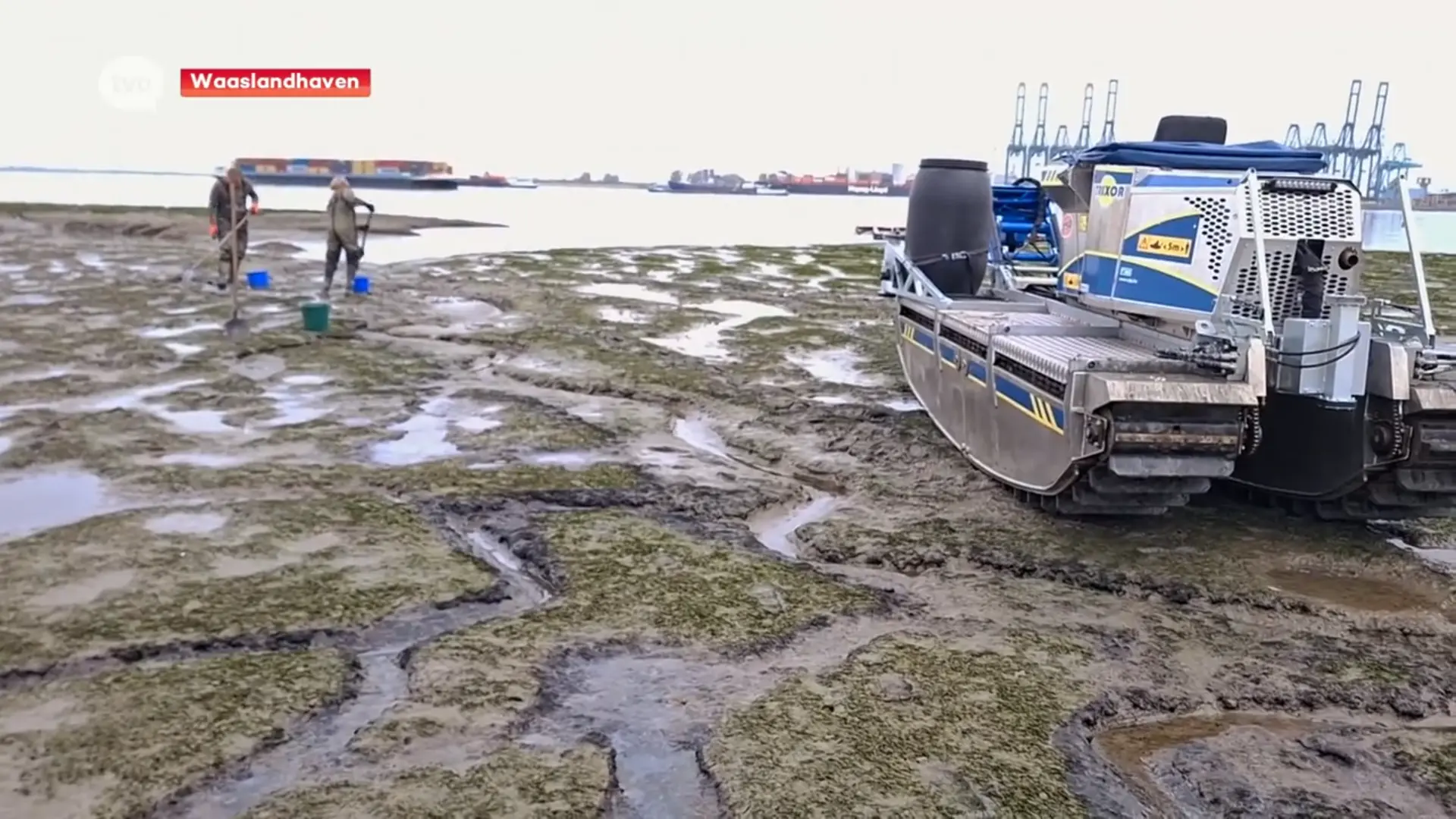 Olievervuiling havengebied op linker-Scheldeoever is opgeruimd