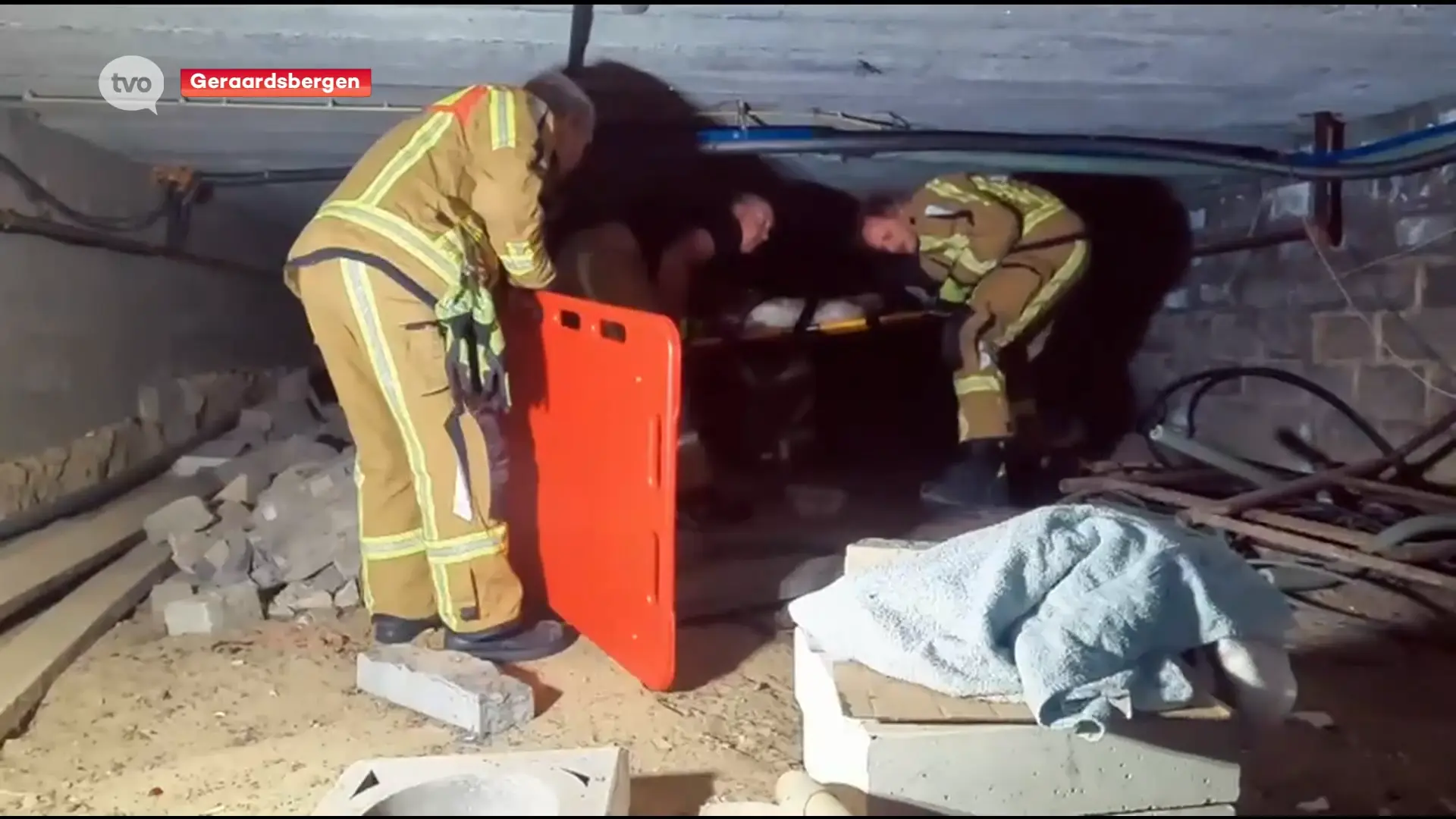 Hoofdafbeelding voor artikel Vier damherten gered uit kruipkelder…